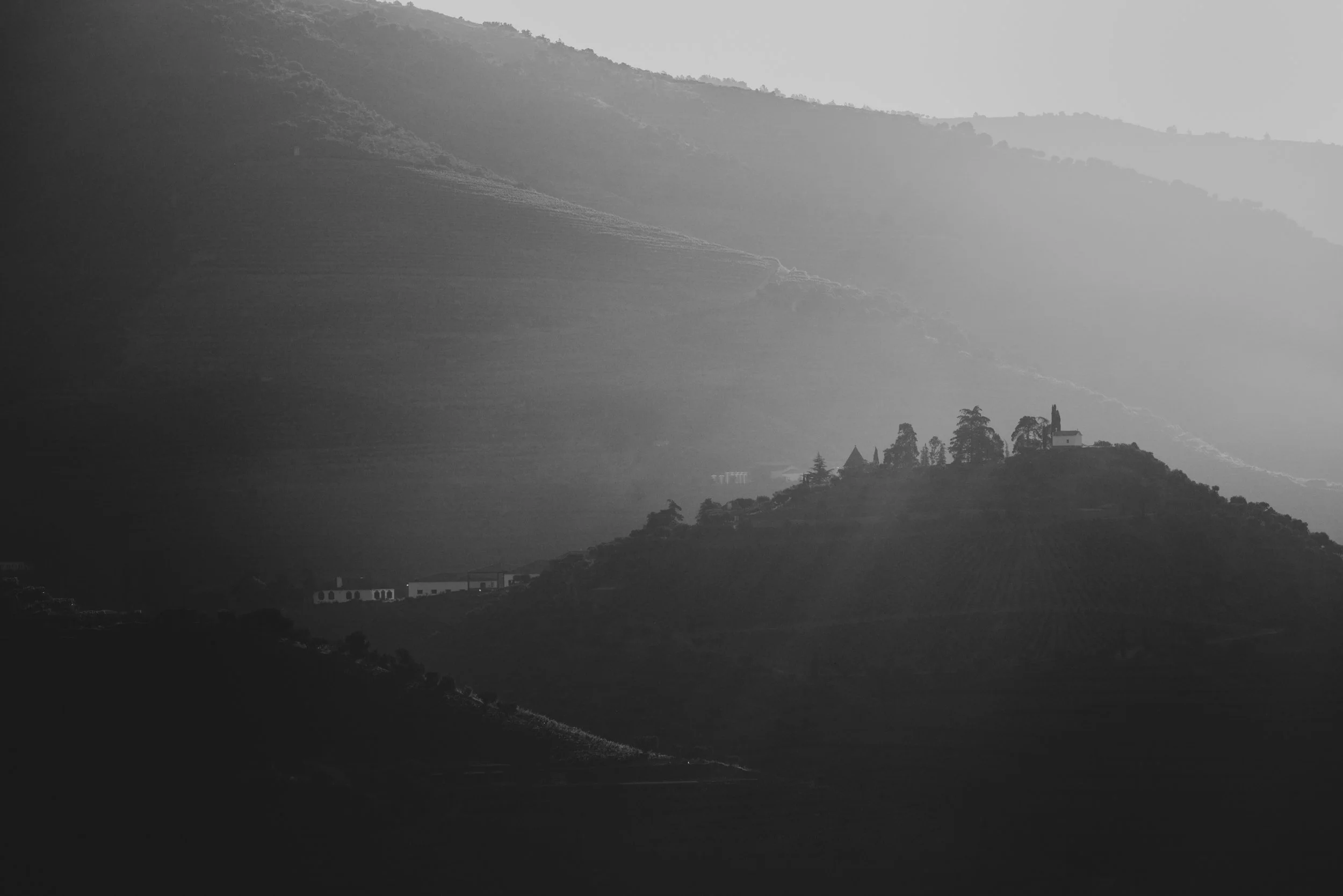 20240528-Purple_Bushmills_Douro-288.jpg