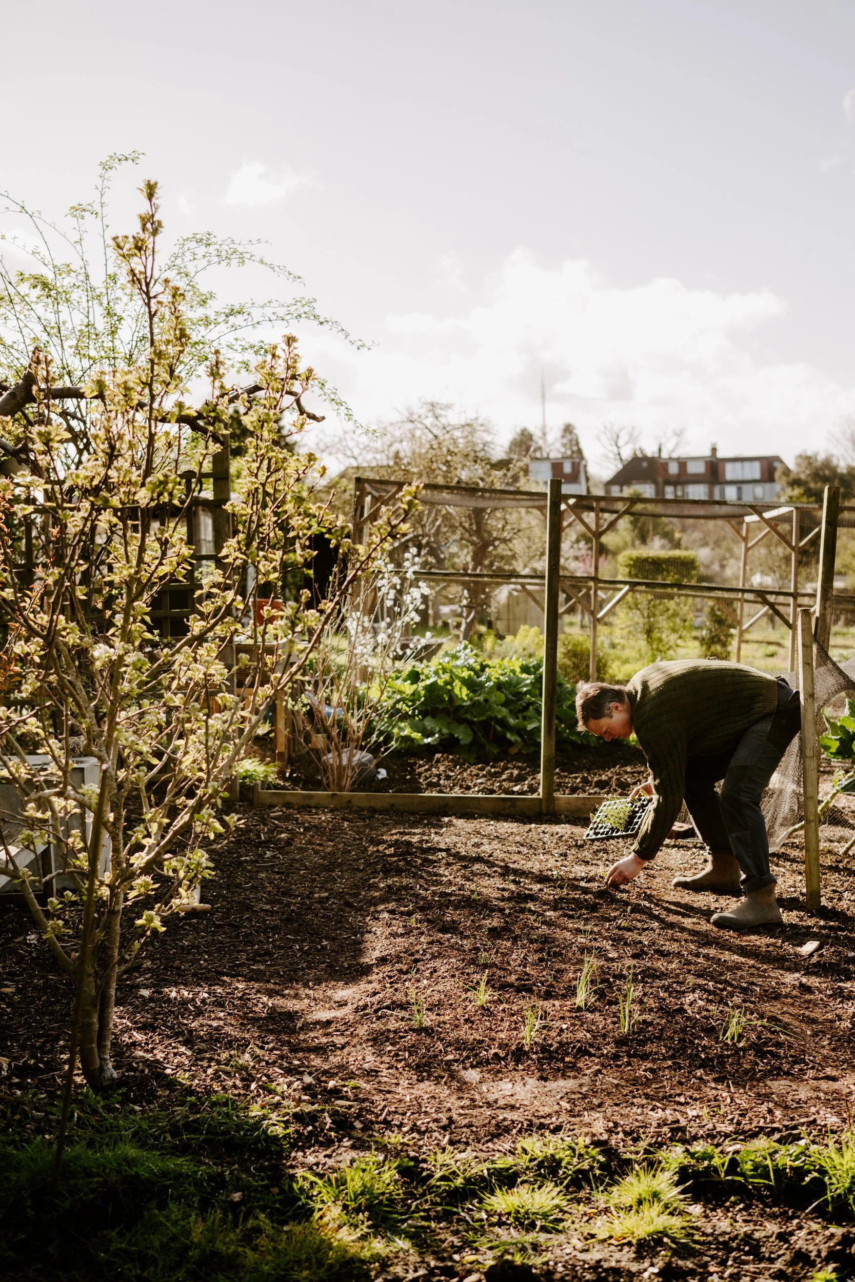 A Year at the Allotment_March-182.jpg