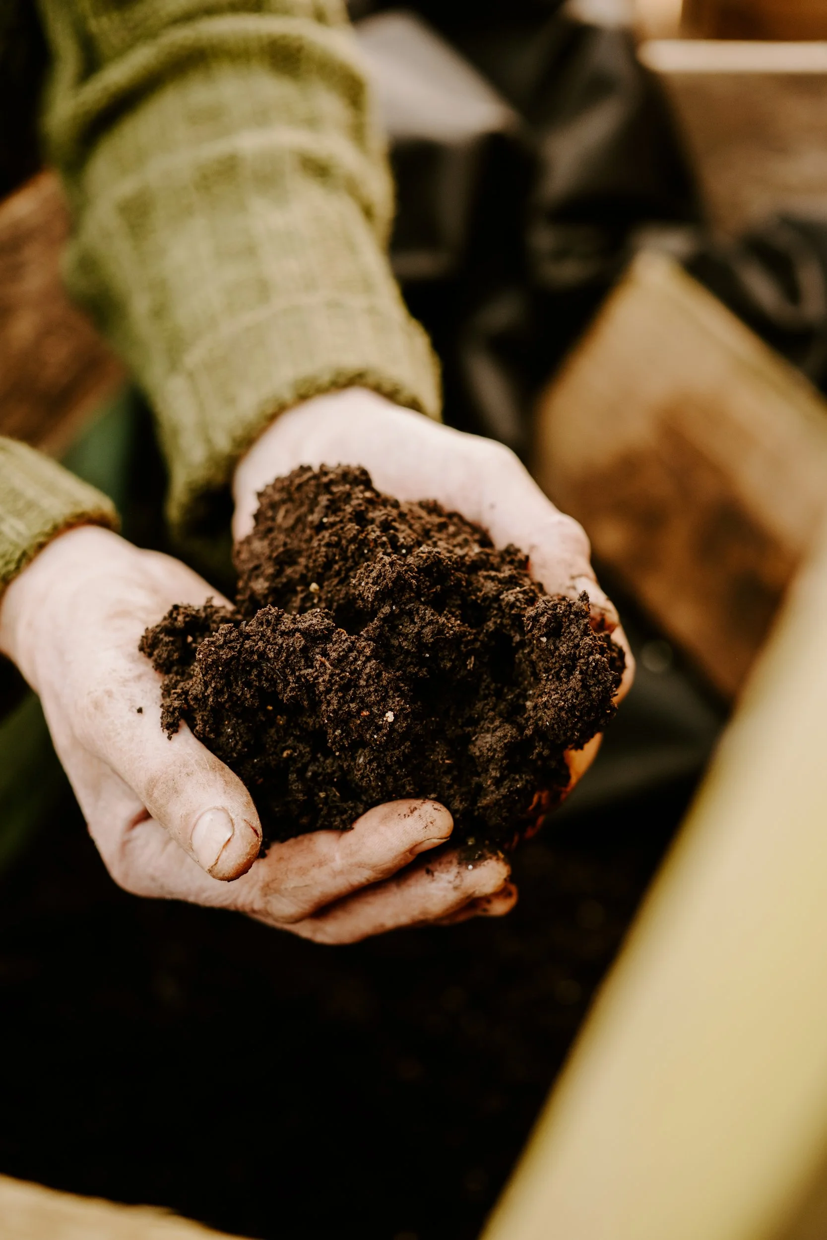 A Year at the Allotment_March-214.jpg
