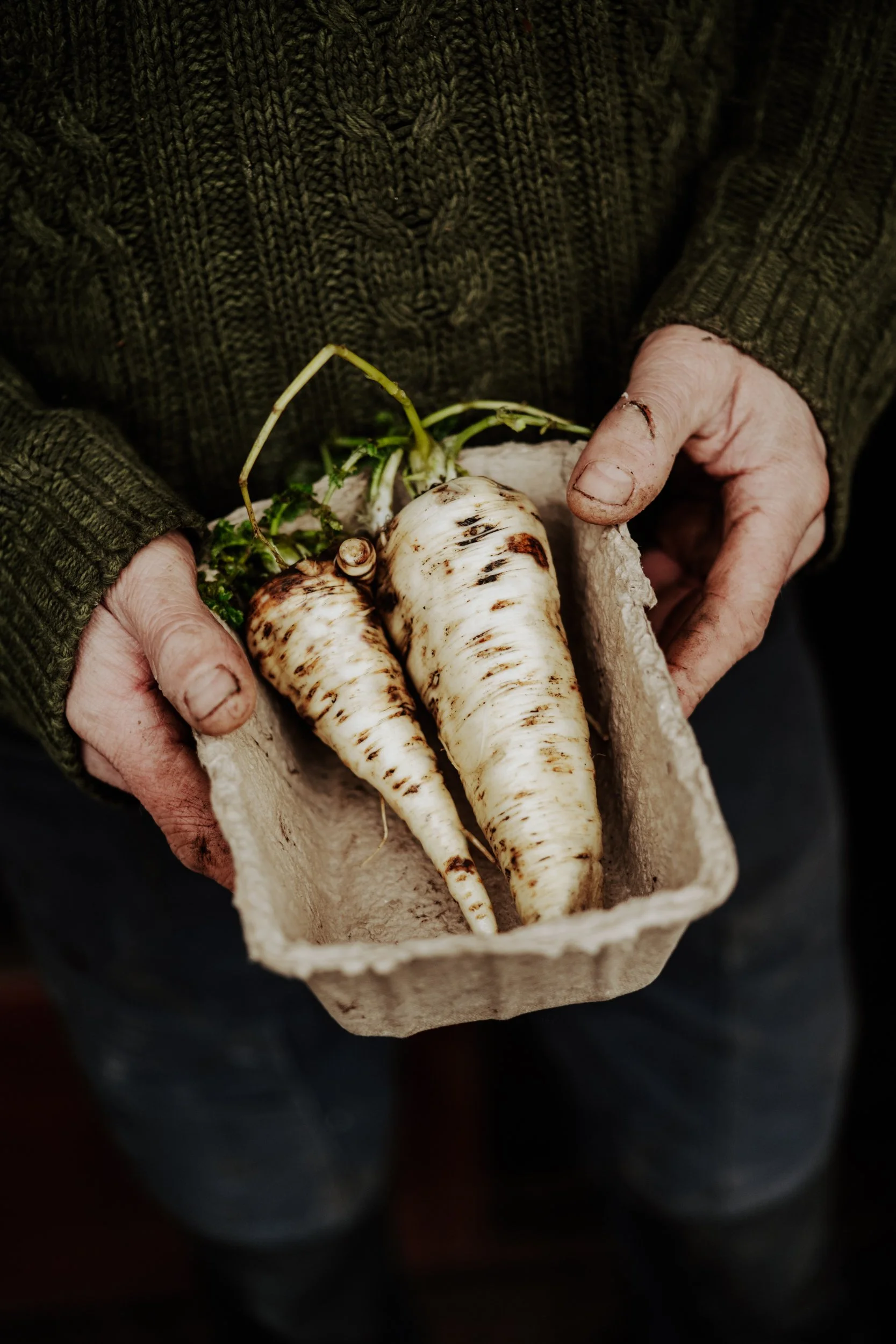 A Year at the Allotment December 2025-174.jpg