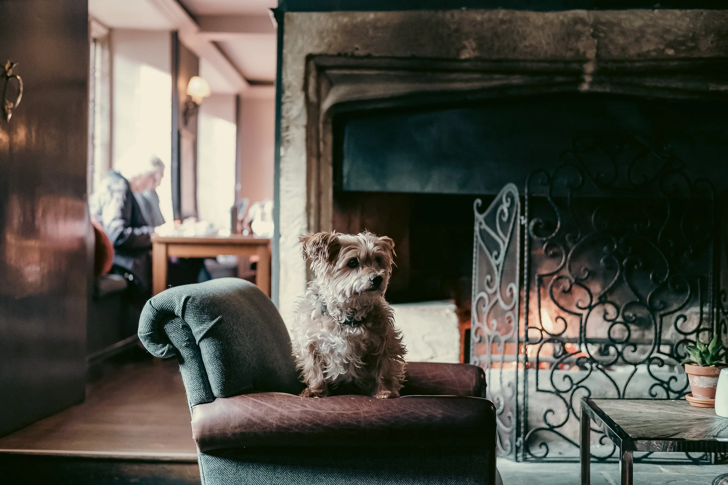 Thomas Skovsende Website-Cotswold Inns and Hotels-135.jpg