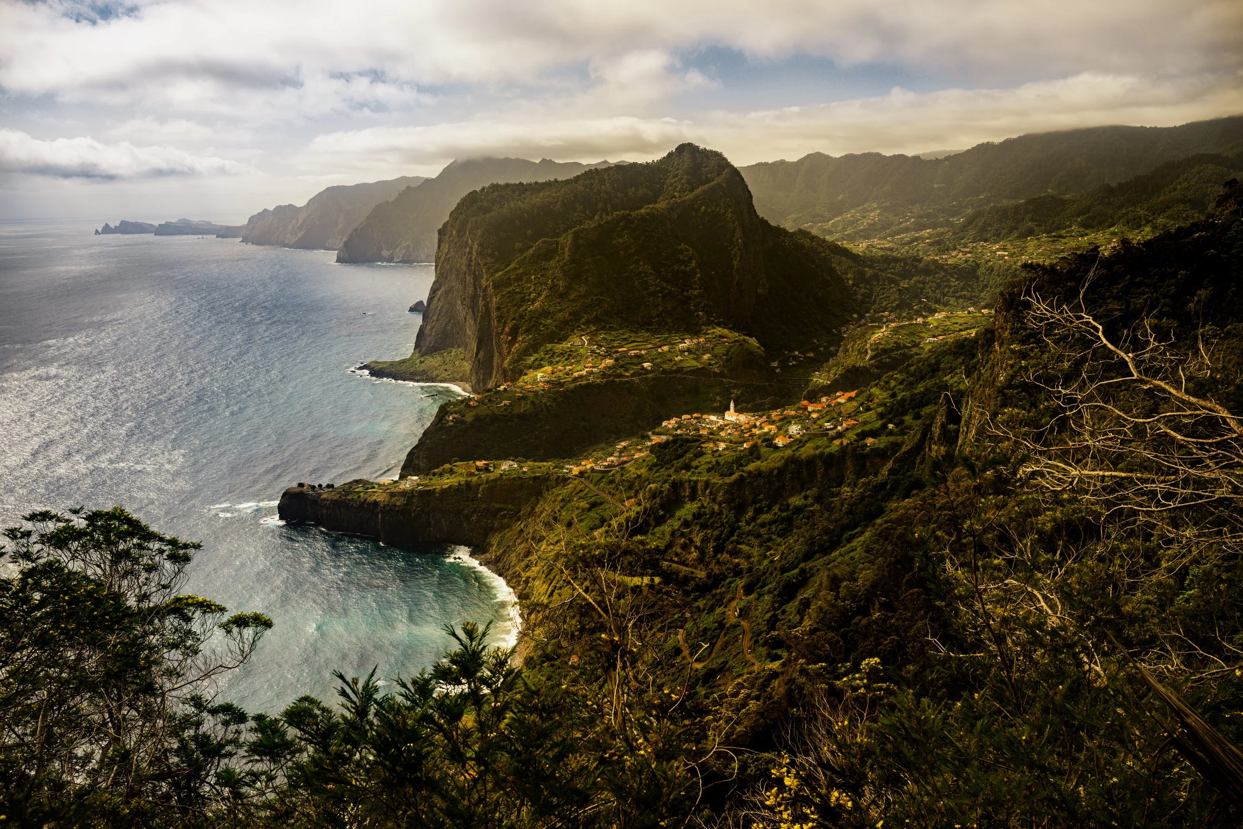 20240603-Purple_Bushmills_Madeira-237-6.jpg