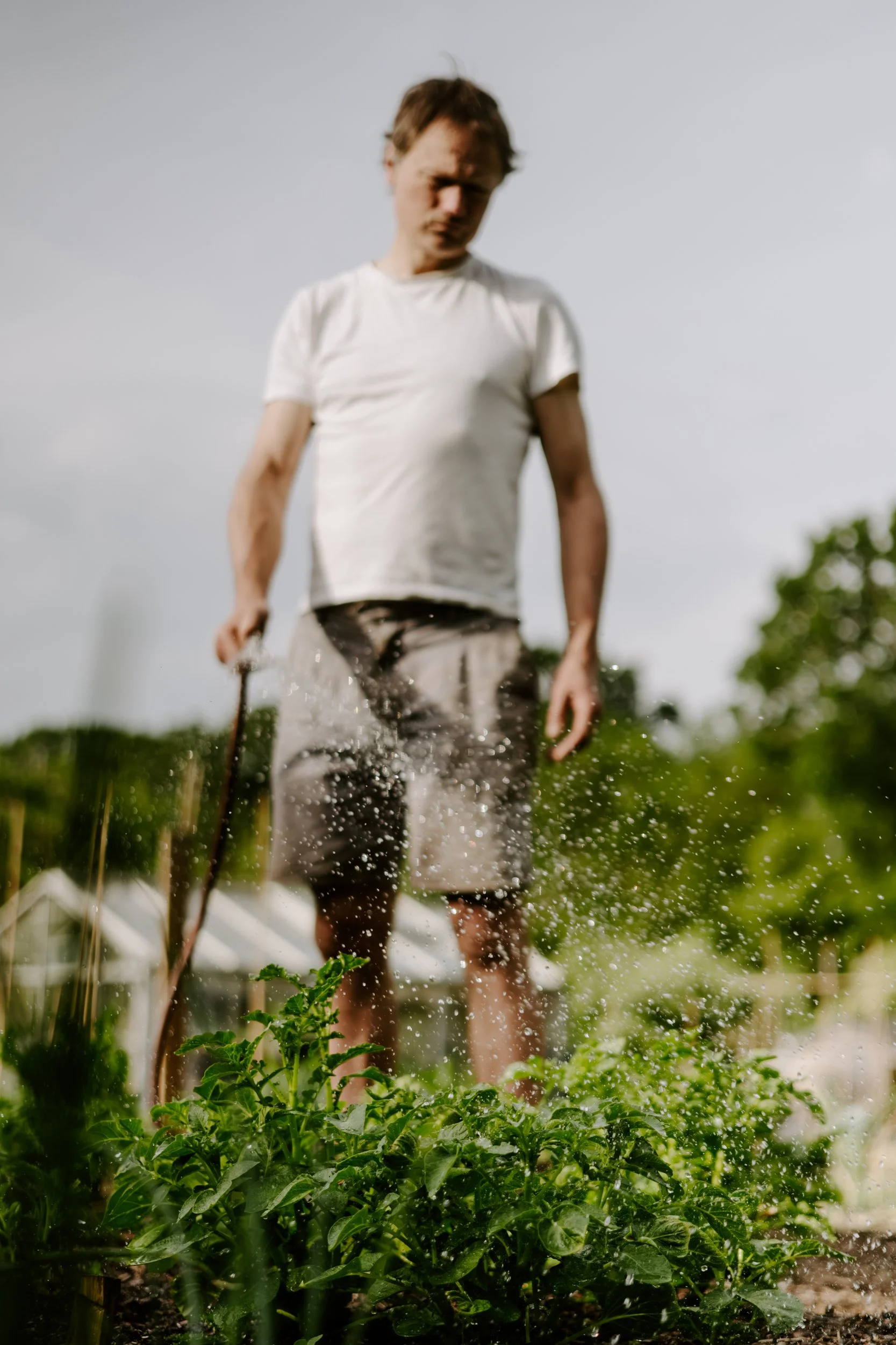 A Year at the Allotment_May 2026-179.jpg