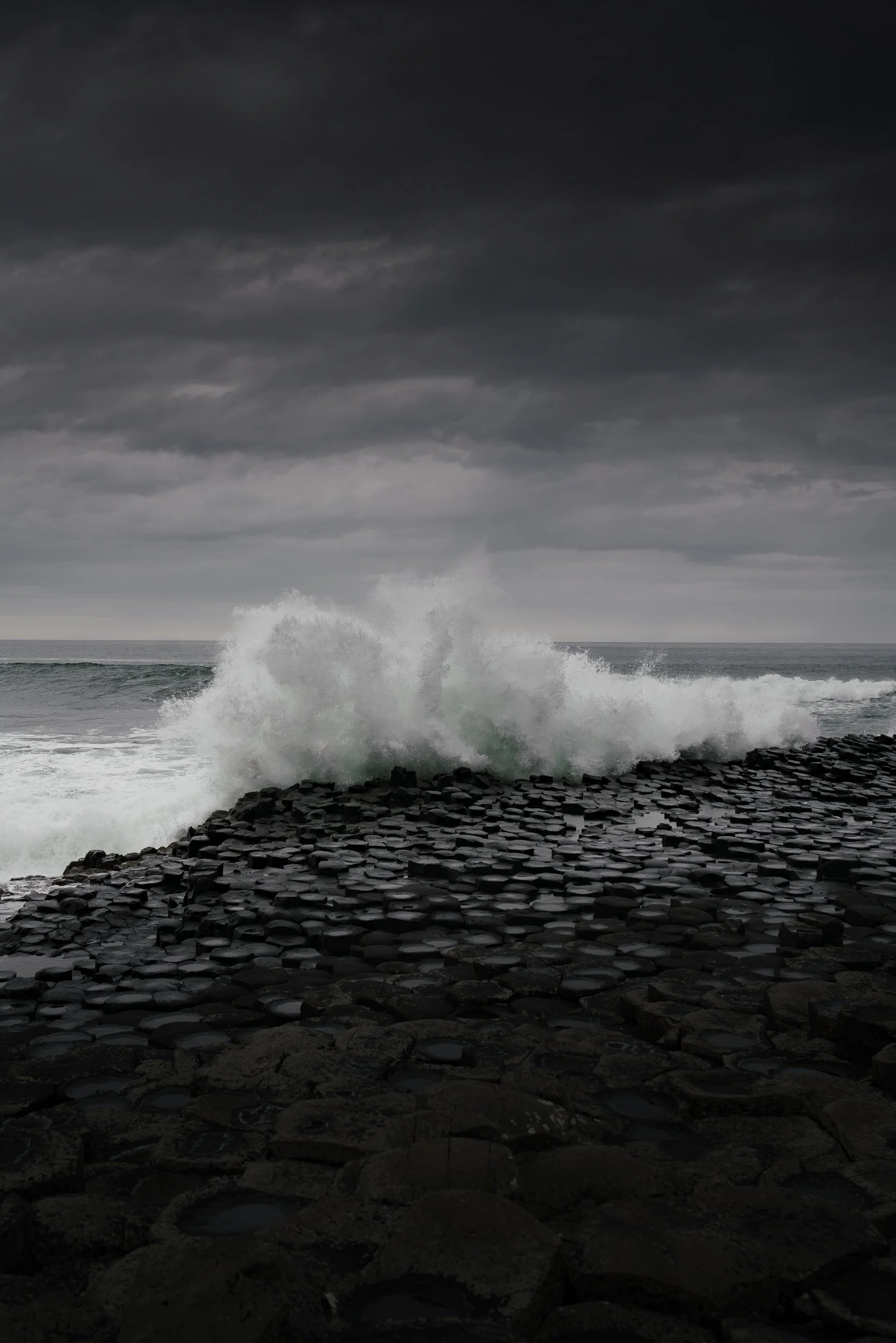 Thomas Skovsende Website-North Coast Character-138.jpg