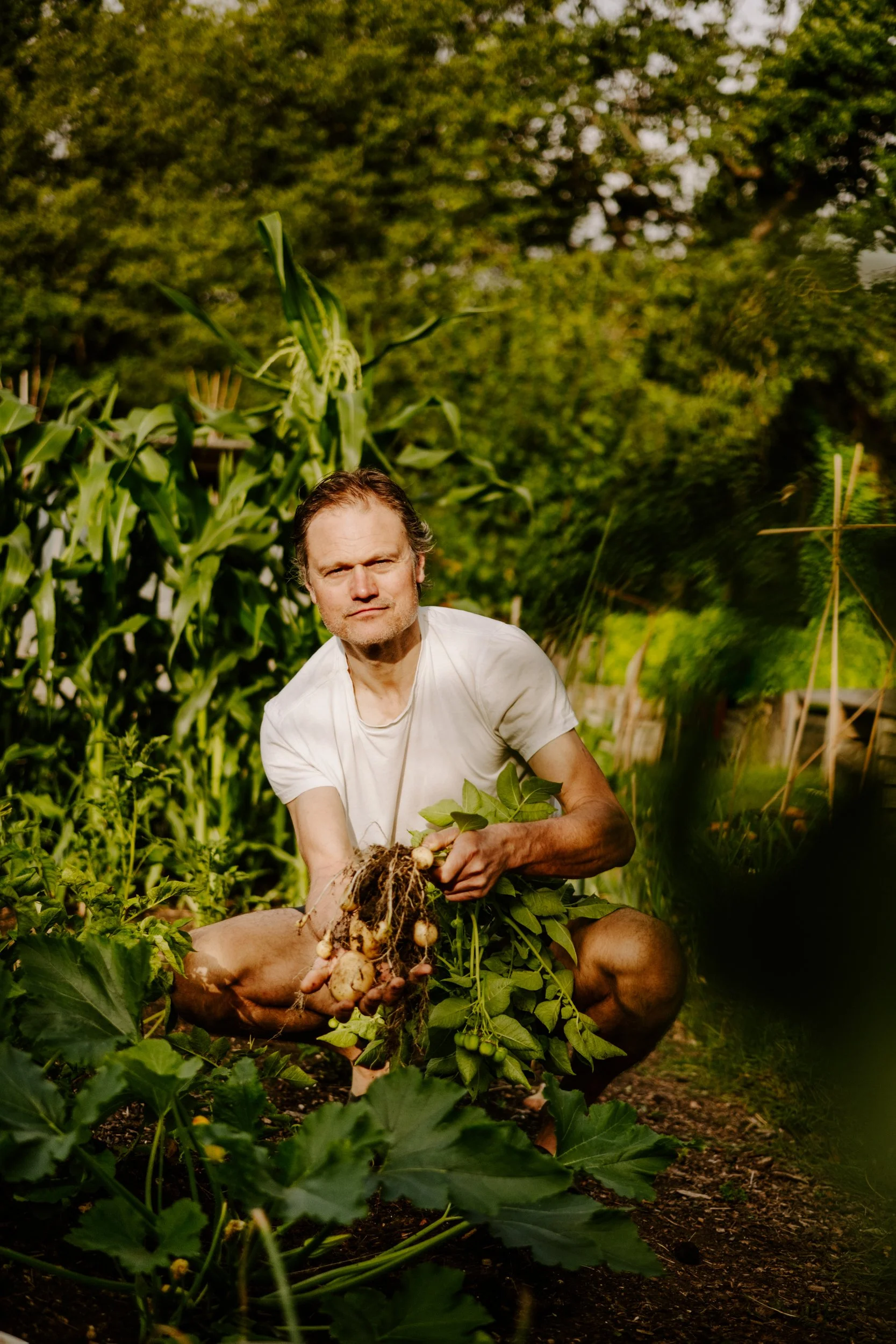 TSP_A Year At The Allotment_July 2026-141.jpg