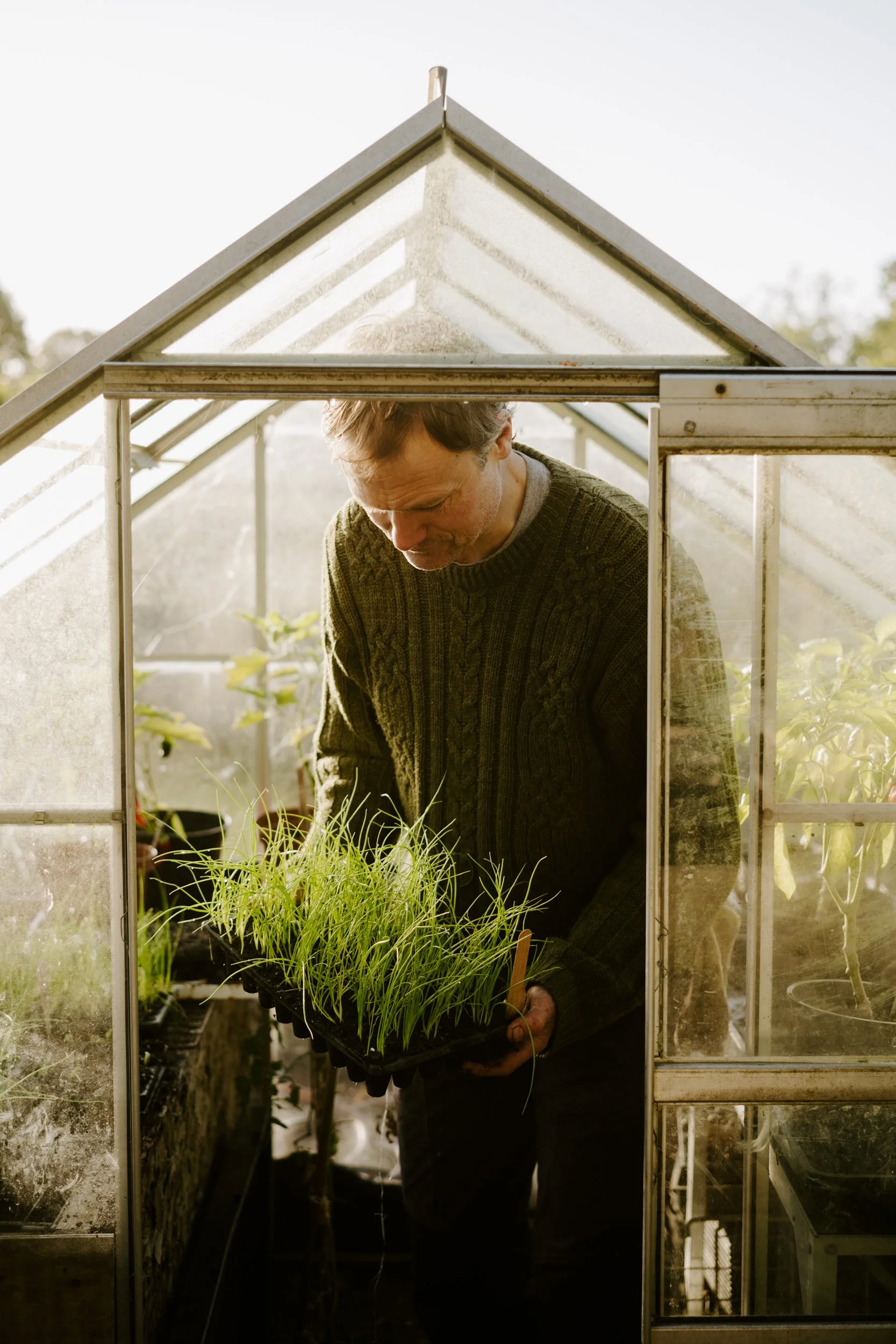 A Year on the Allotment_October 2025-256.jpg