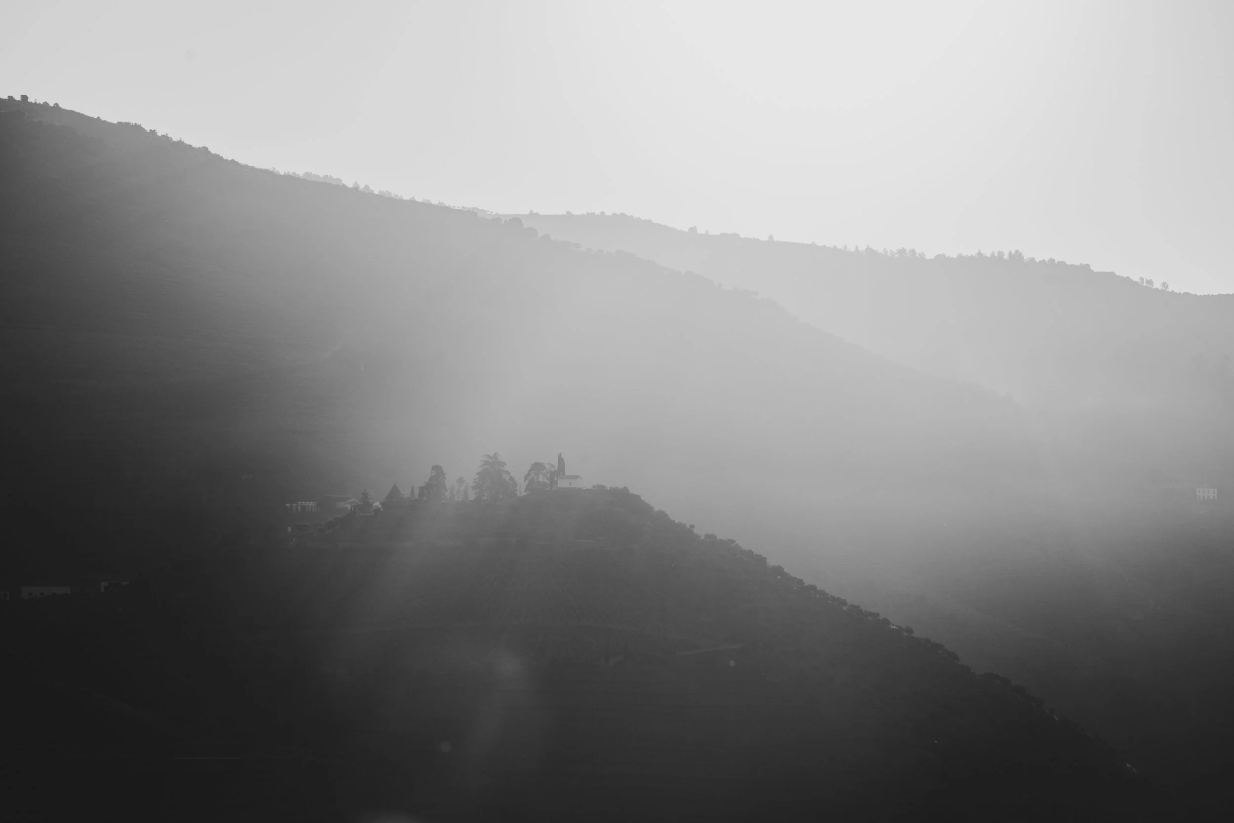 20240528-Purple_Bushmills_Douro-277.jpg