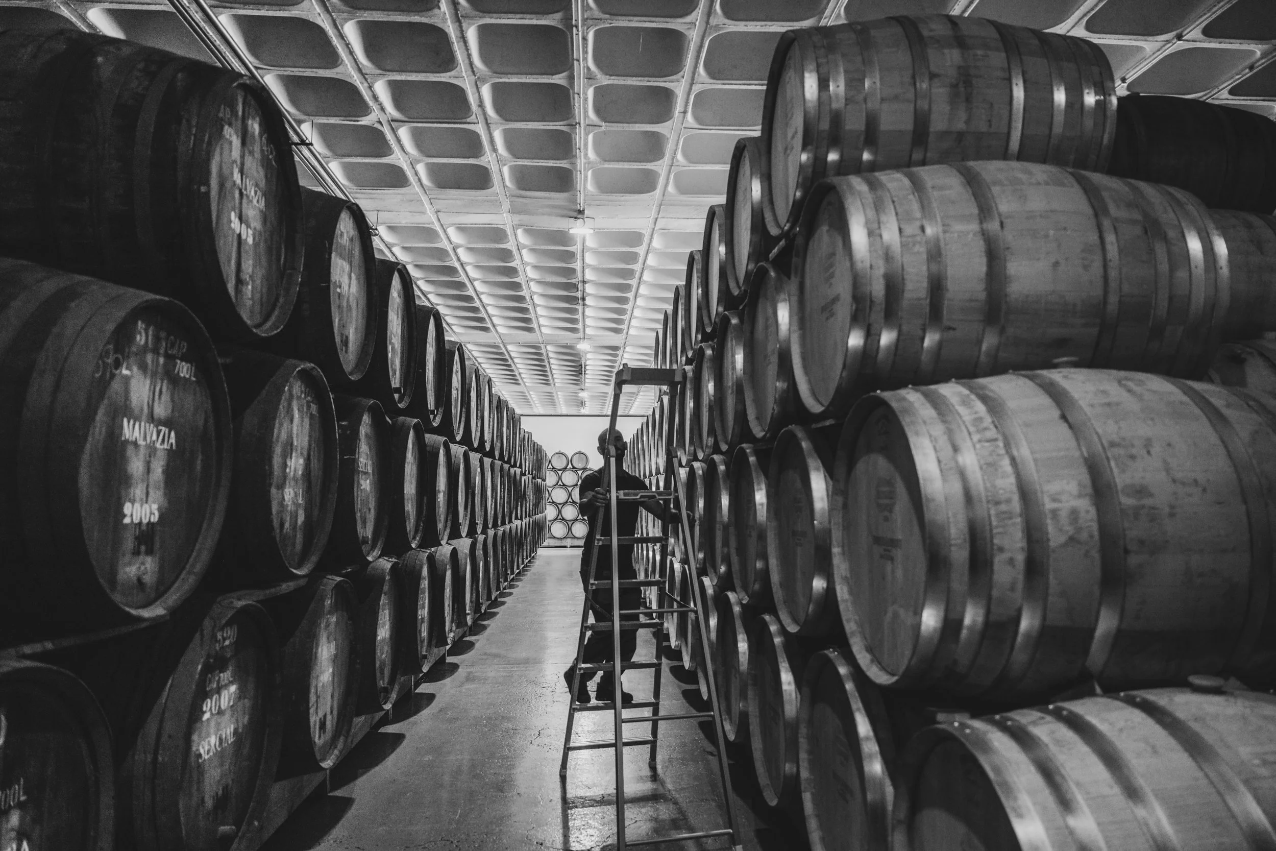 20240529-Purple_Bushmills_Madeira-101.jpg