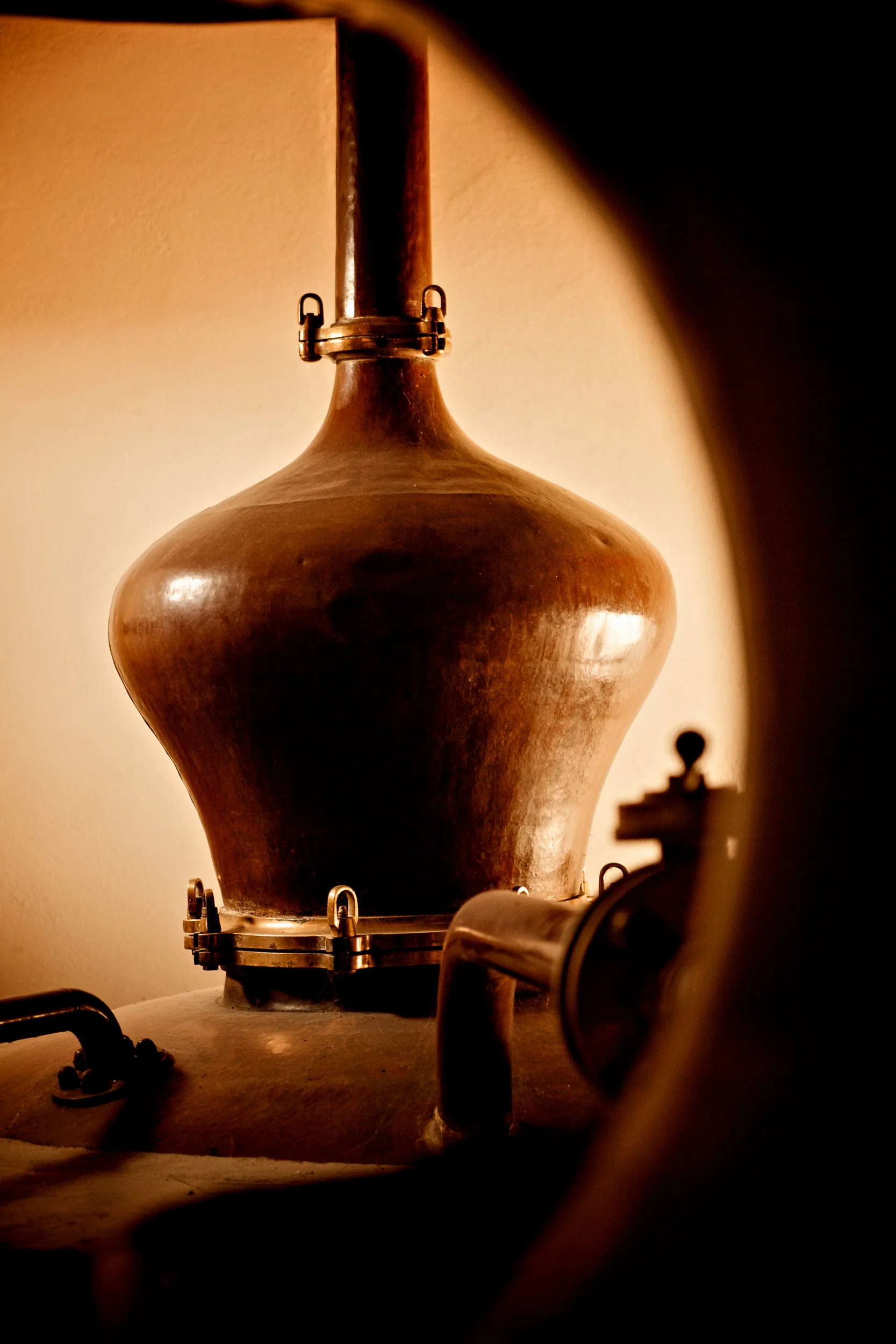 Thomas Skovsende Website-The Craft Of Cognac-123-2.jpg