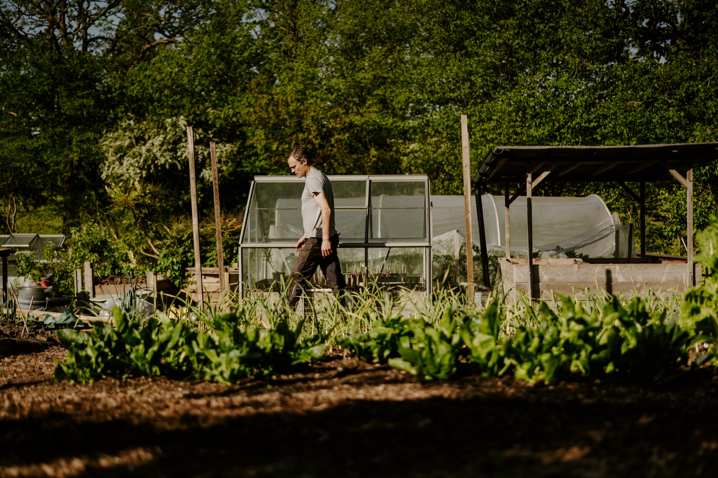 A Year At The Allotment_April-172.jpg