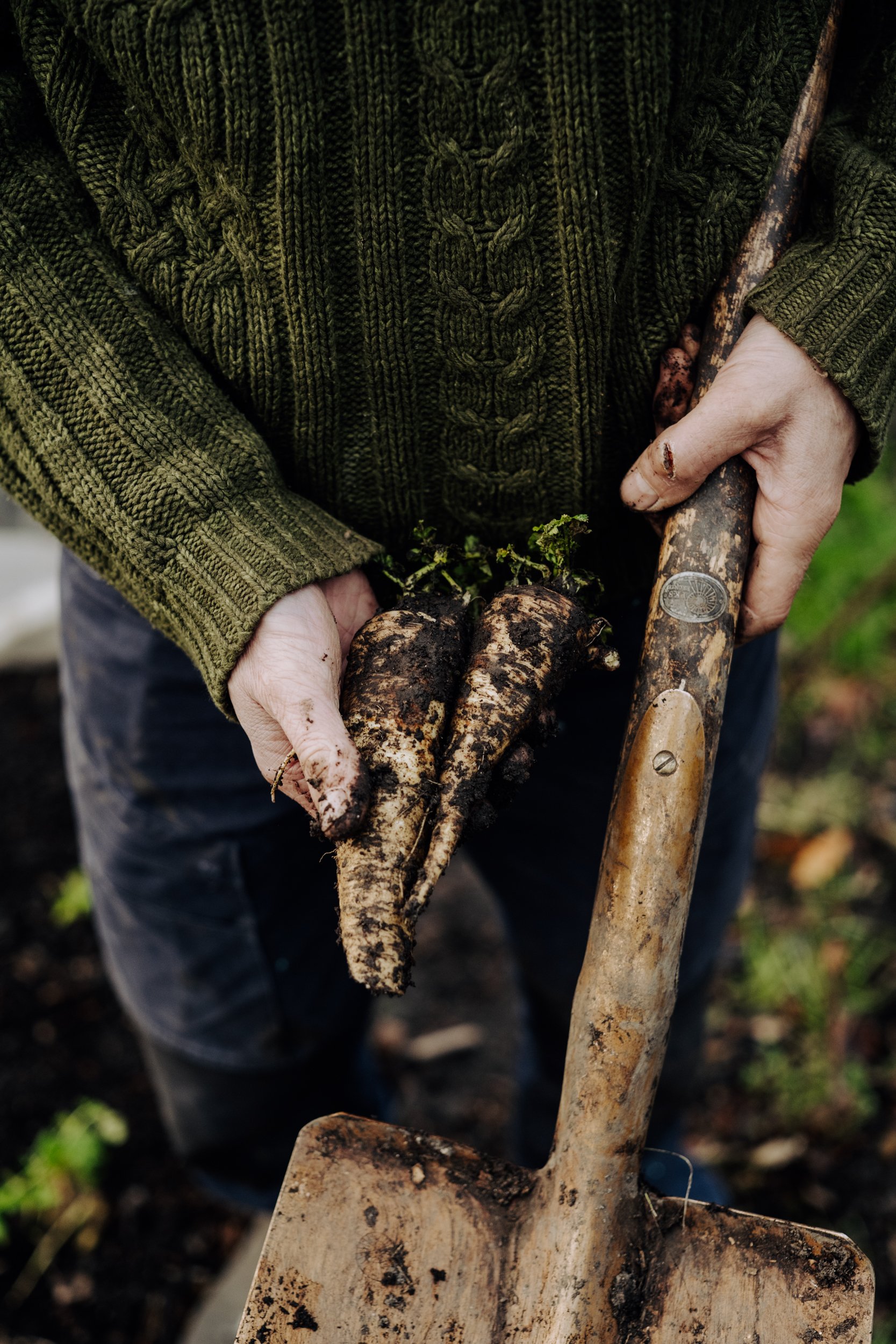 A Year at the Allotment December 2025-141.jpg