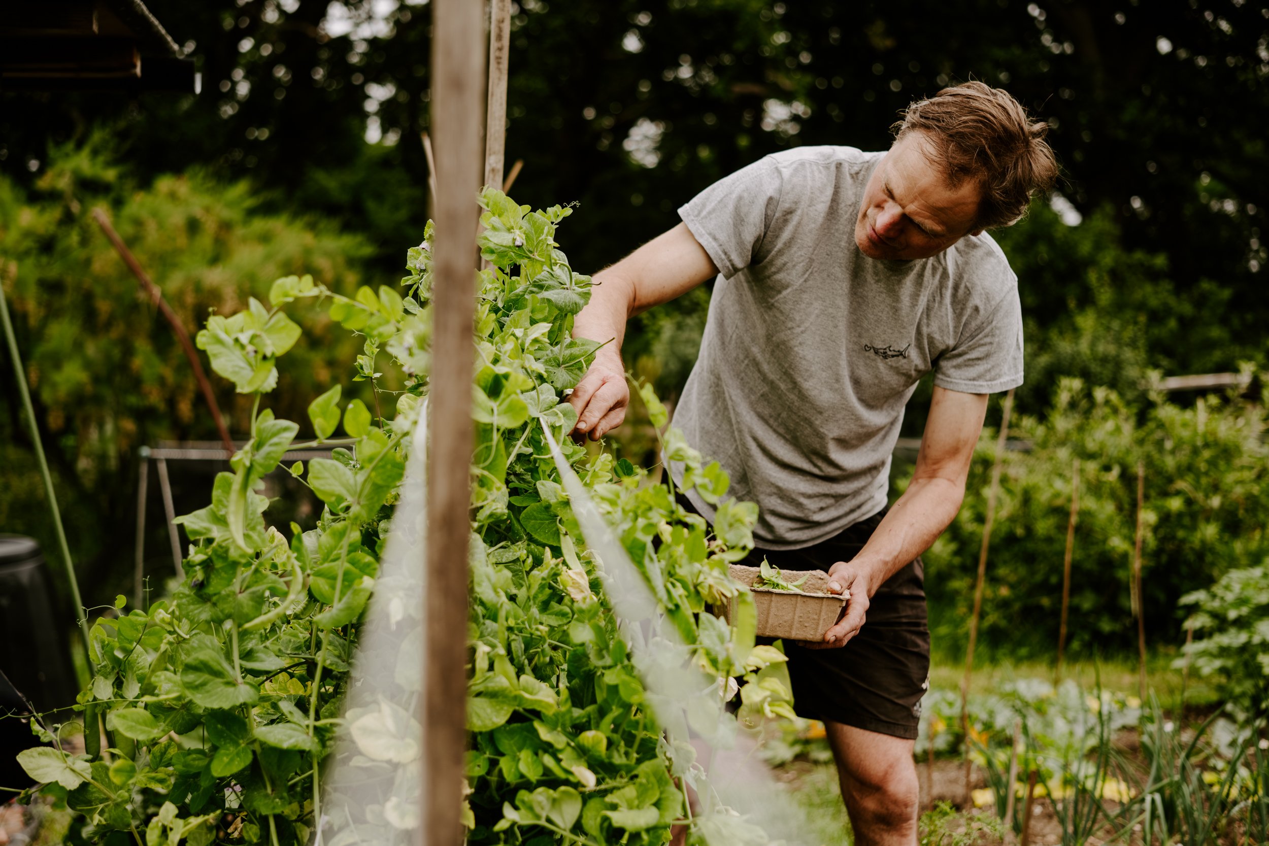 A Year At The Allotment_June-152.jpg