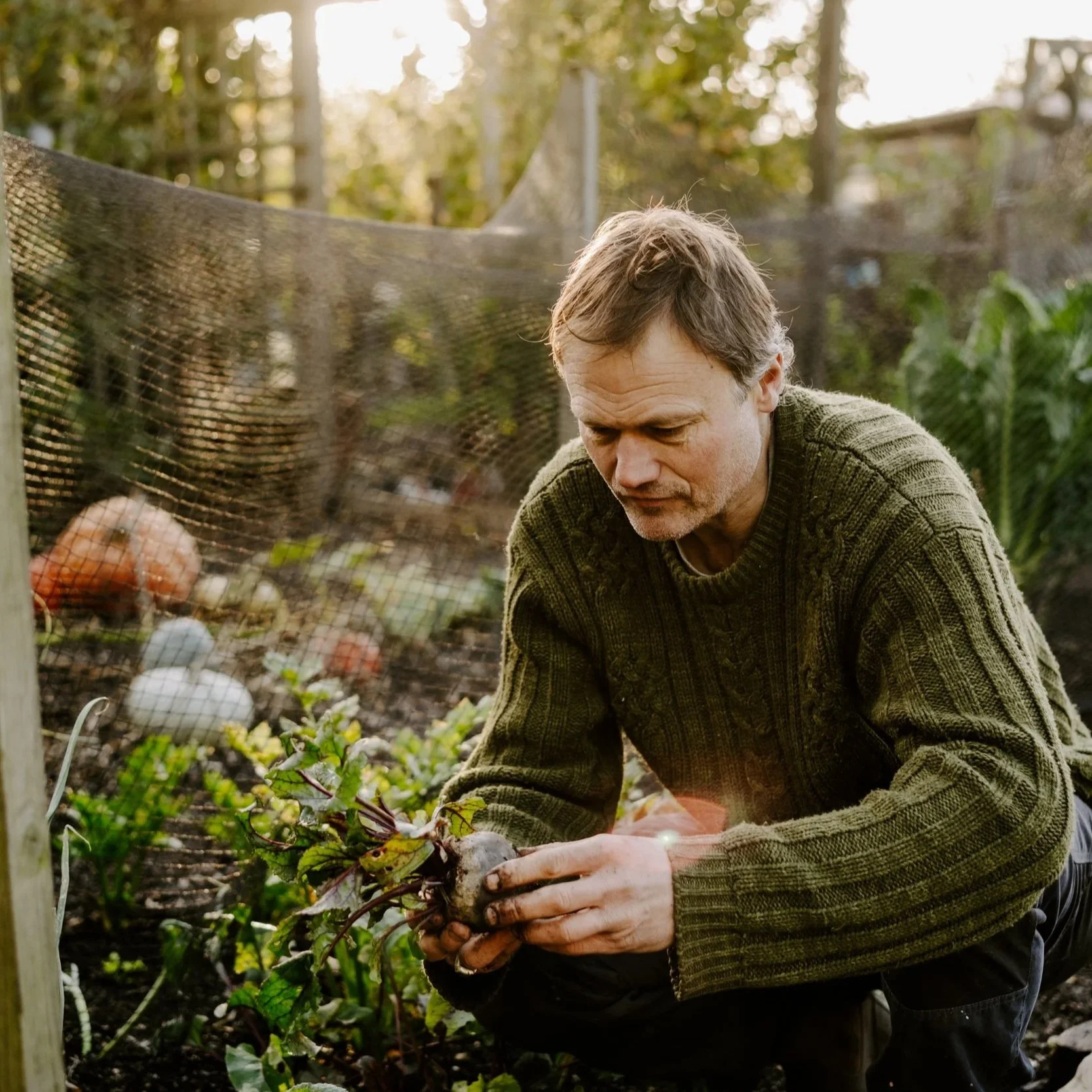 A Year On The Allotment