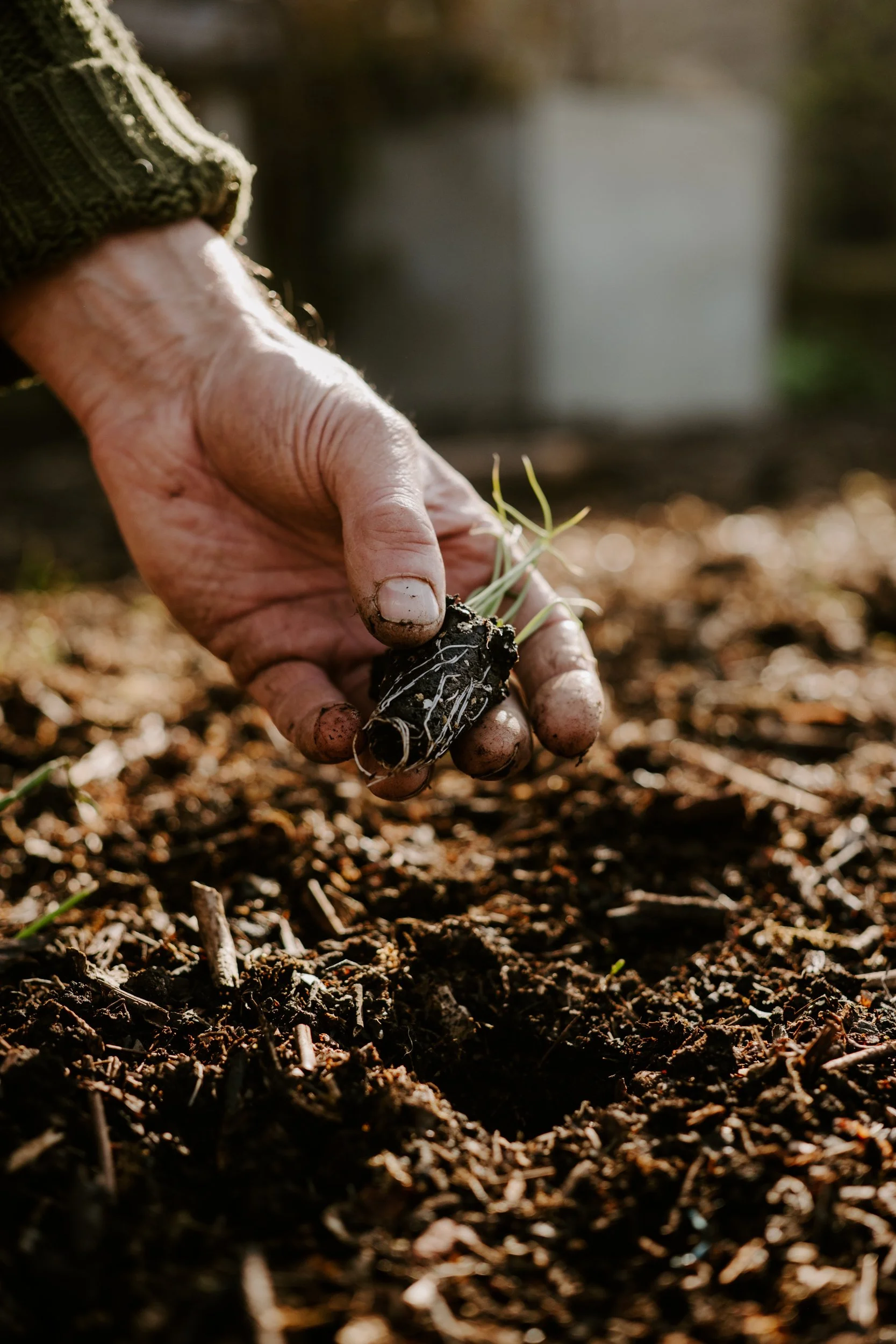 A Year at the Allotment_March-167.jpg