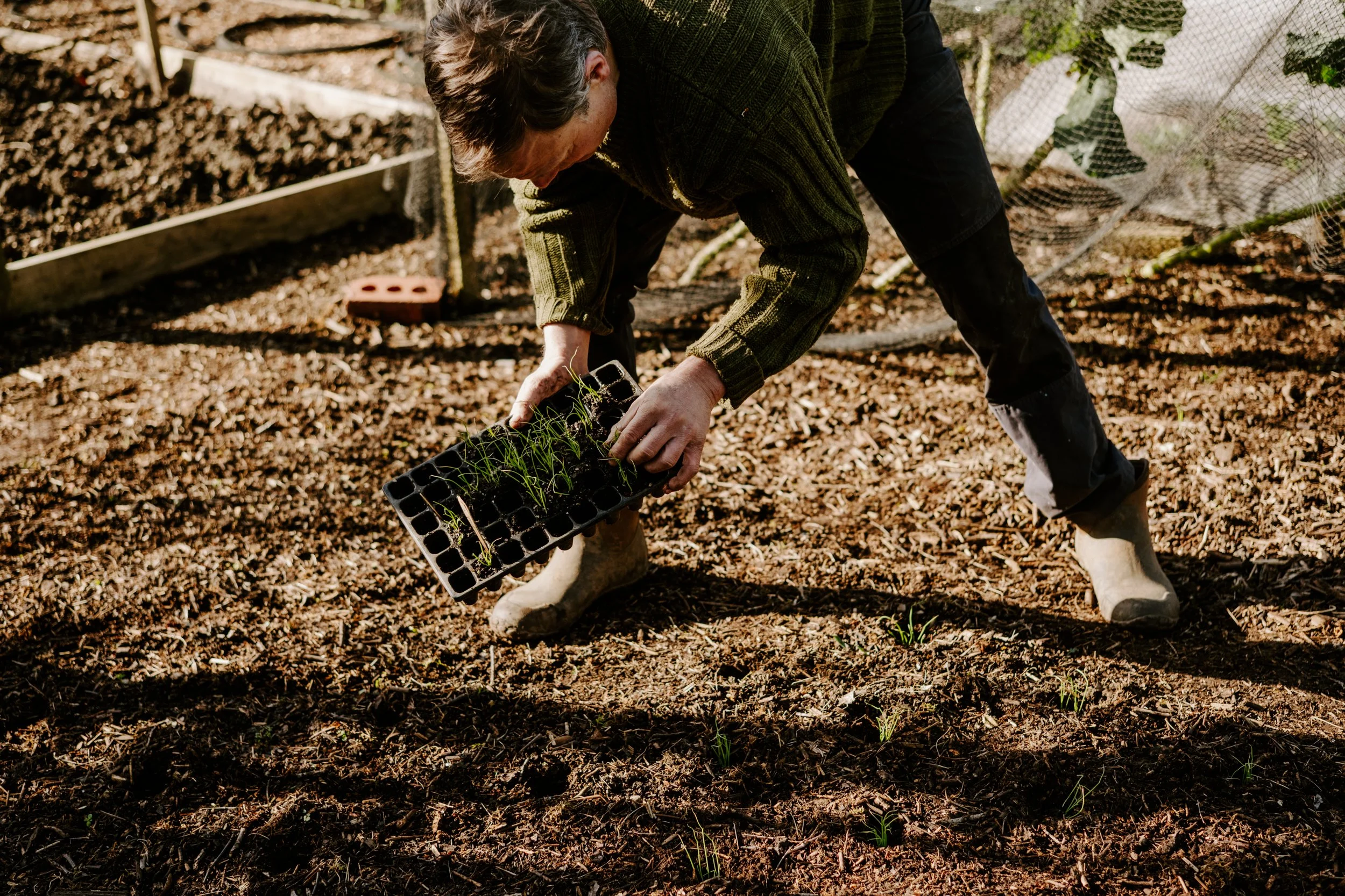 A Year at the Allotment_March-184.jpg