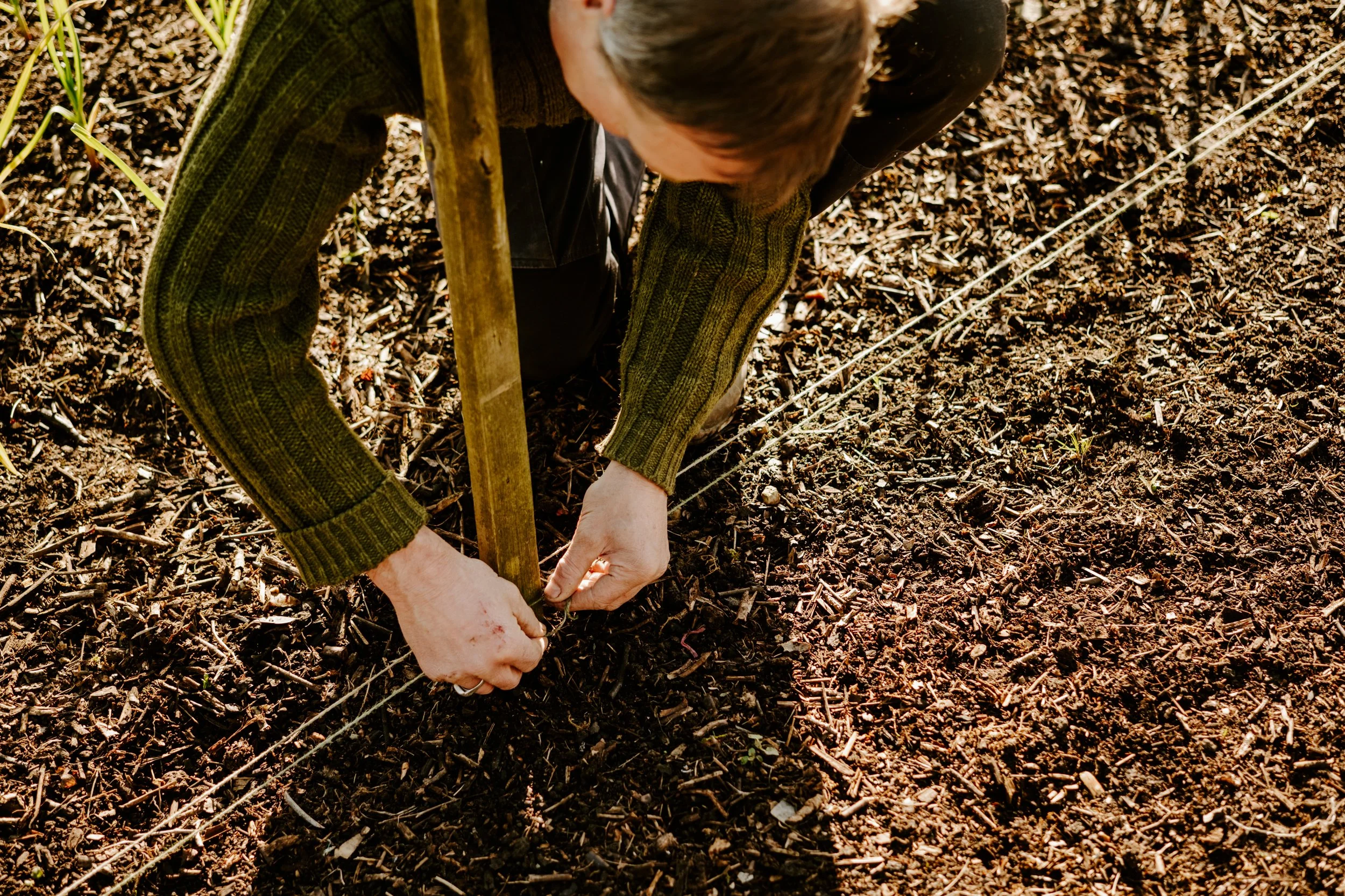 A Year at the Allotment_March-129.jpg