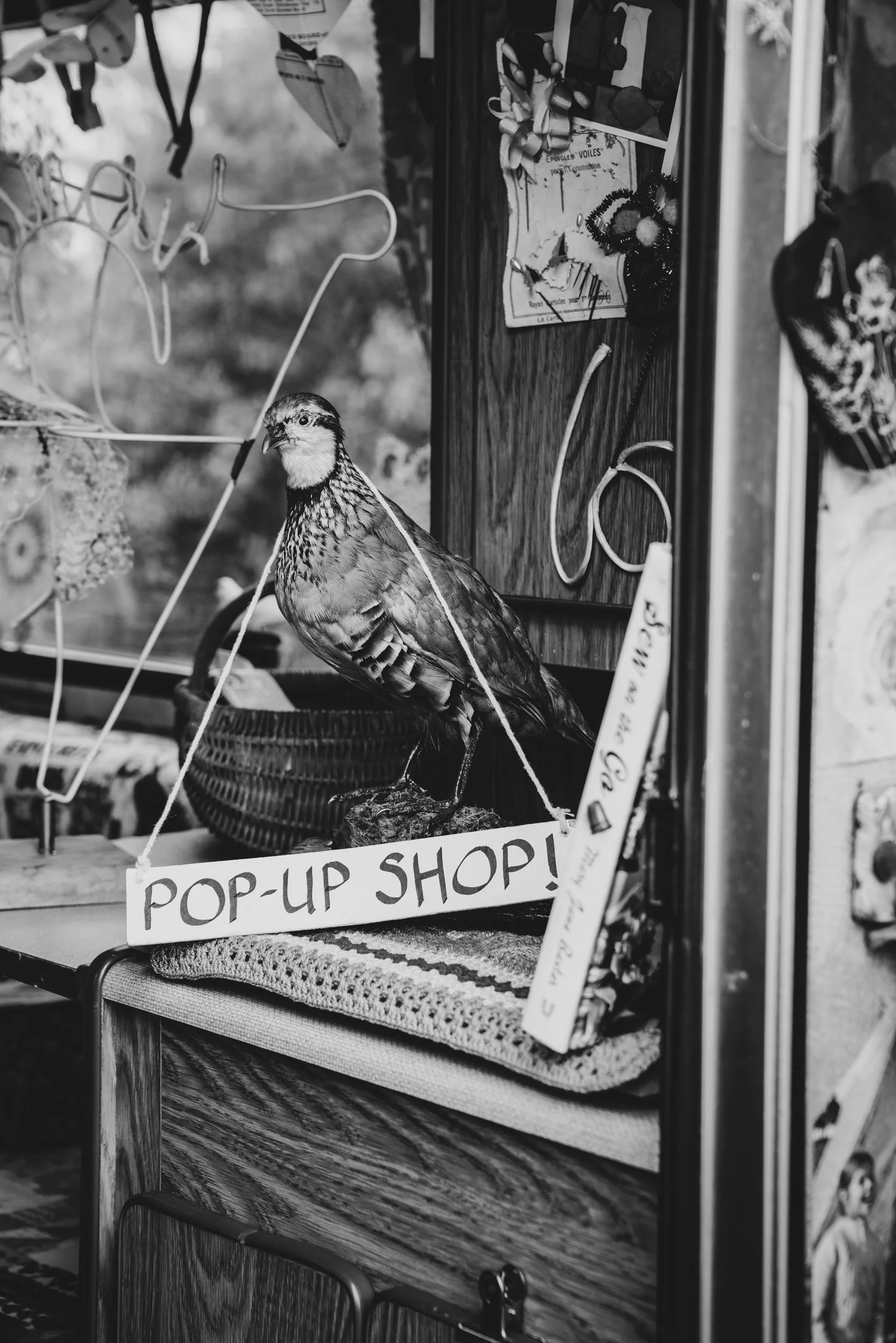 Thomas Skovsende Photographer_Vintage-135.jpg