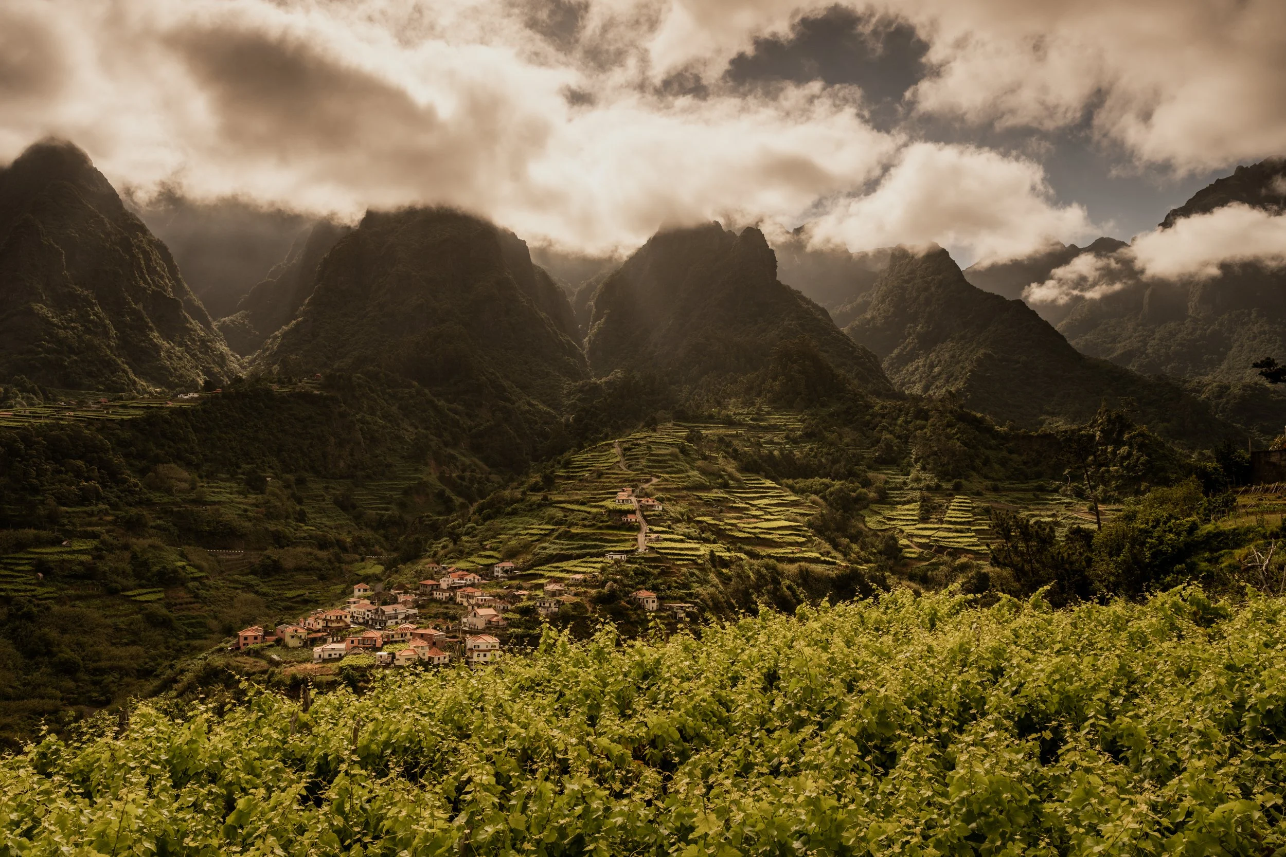 20240530-Purple_Bushmills_Madeira-202.jpg