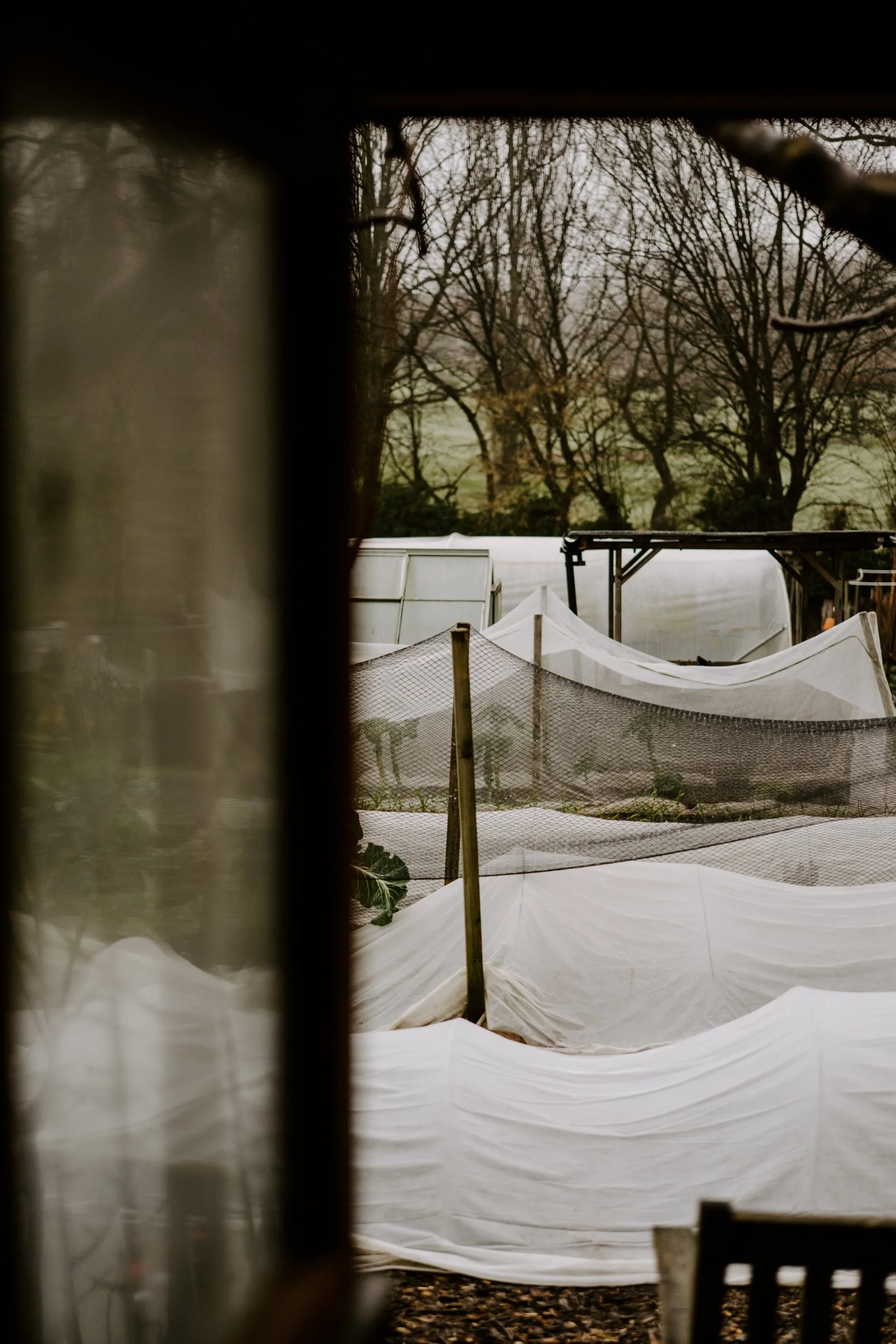 A Year on the Allotment_January 2026-112.jpg