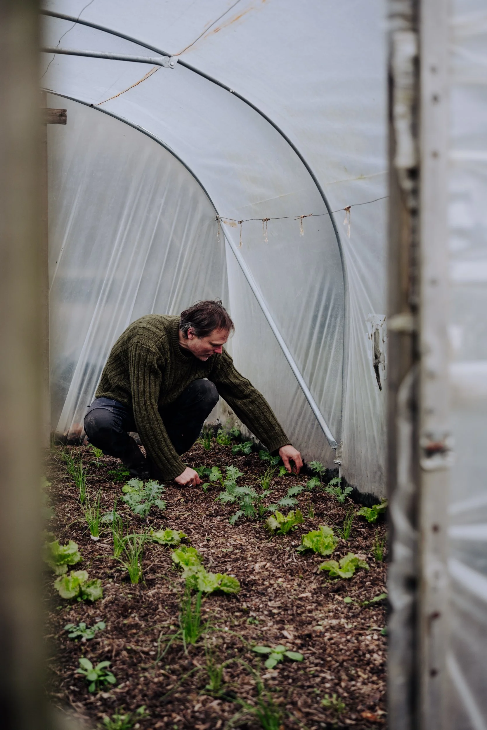 A Year at the Allotment December 2025-164.jpg