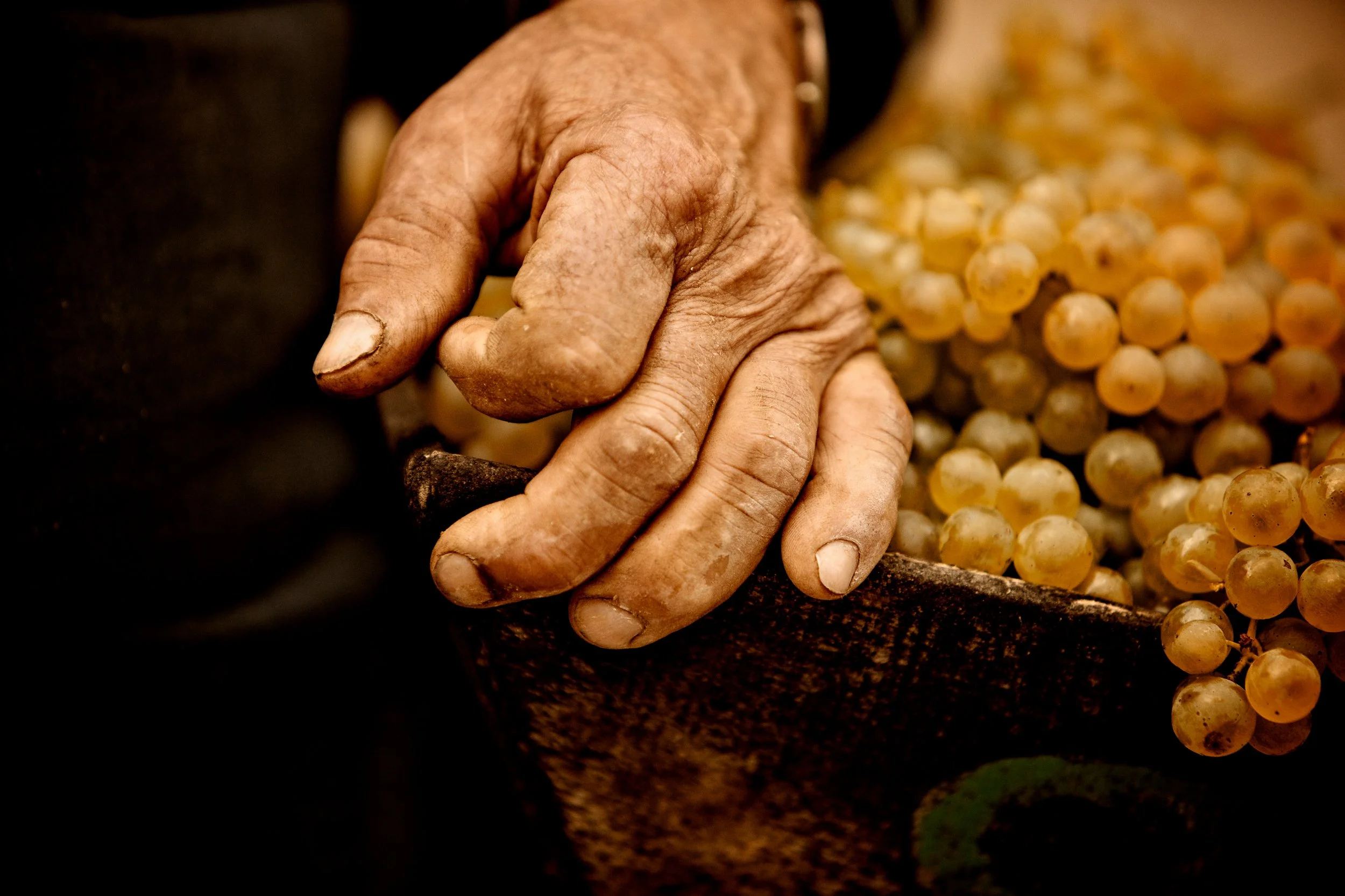 Thomas Skovsende Website-The Craft Of Cognac-127-2.jpg