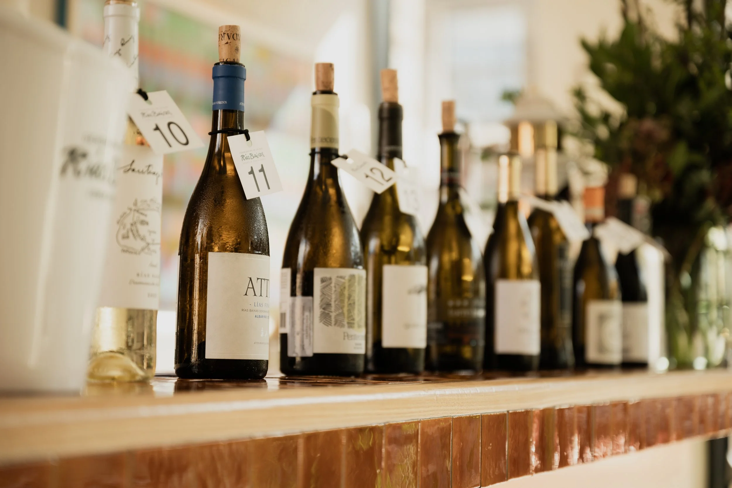 The Buyer_Albariño Discussion-113.jpg