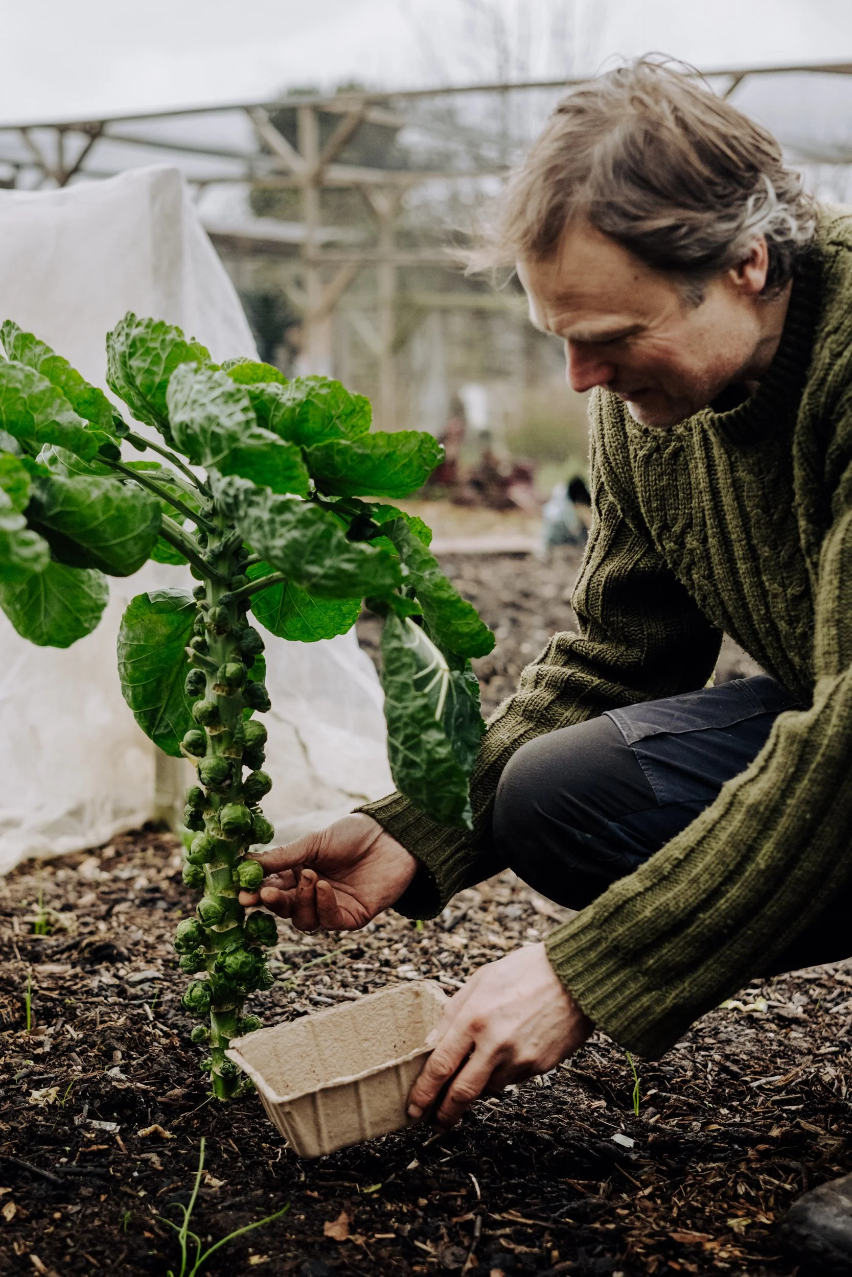 A Year at the Allotment December 2025-124.jpg