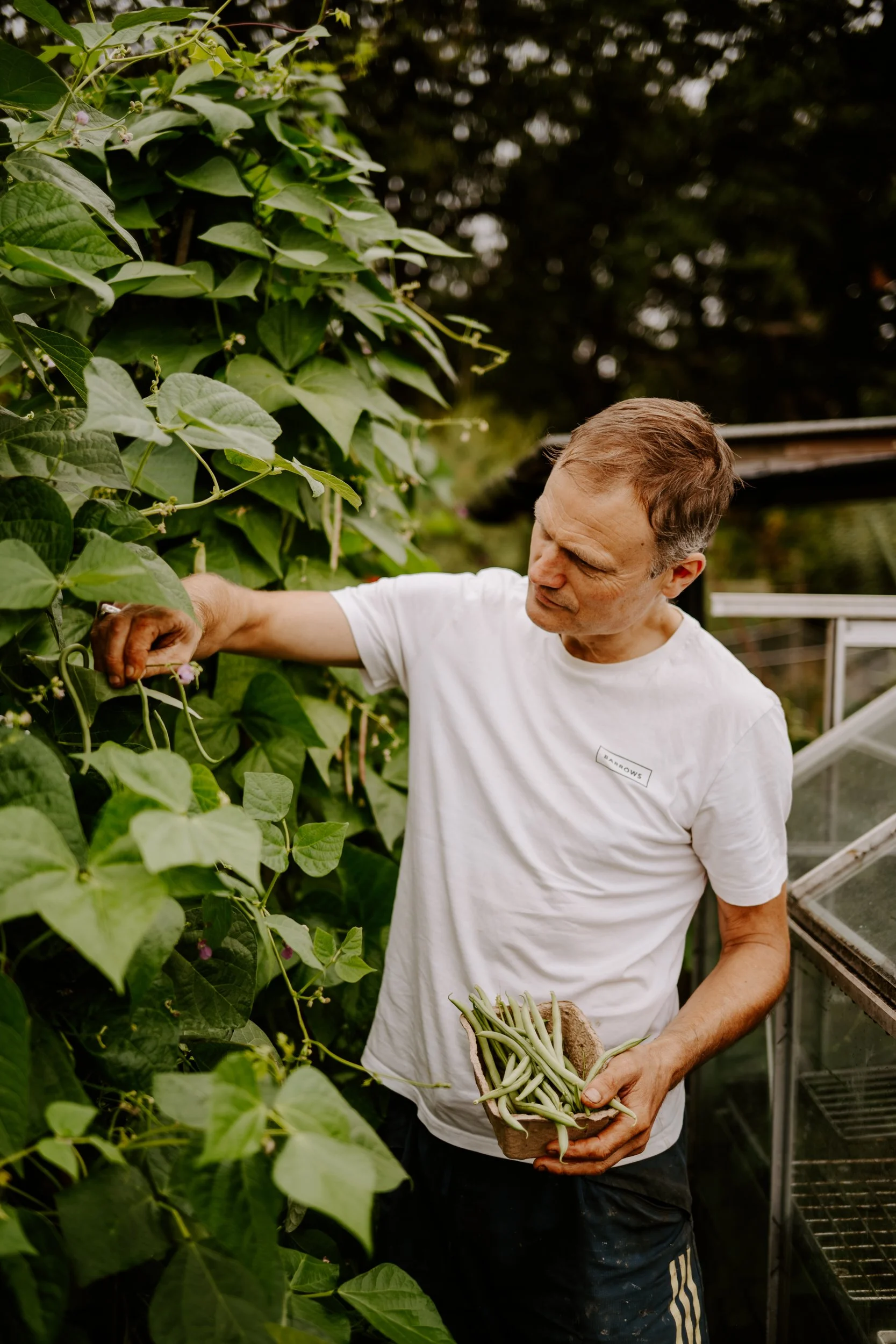 A Year at the allotment_August 2026-208.jpg