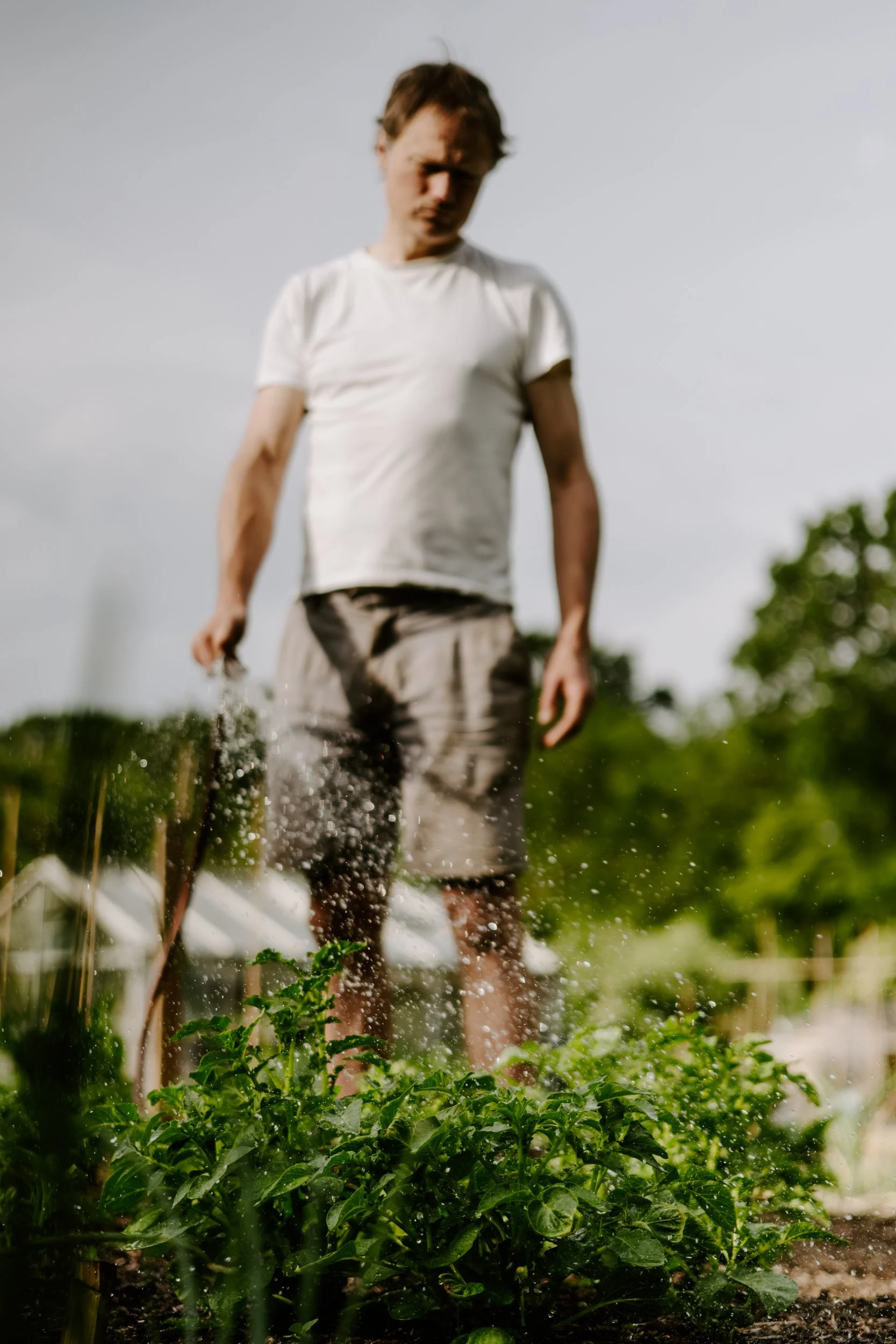 A Year at the Allotment_May 2026-180.jpg