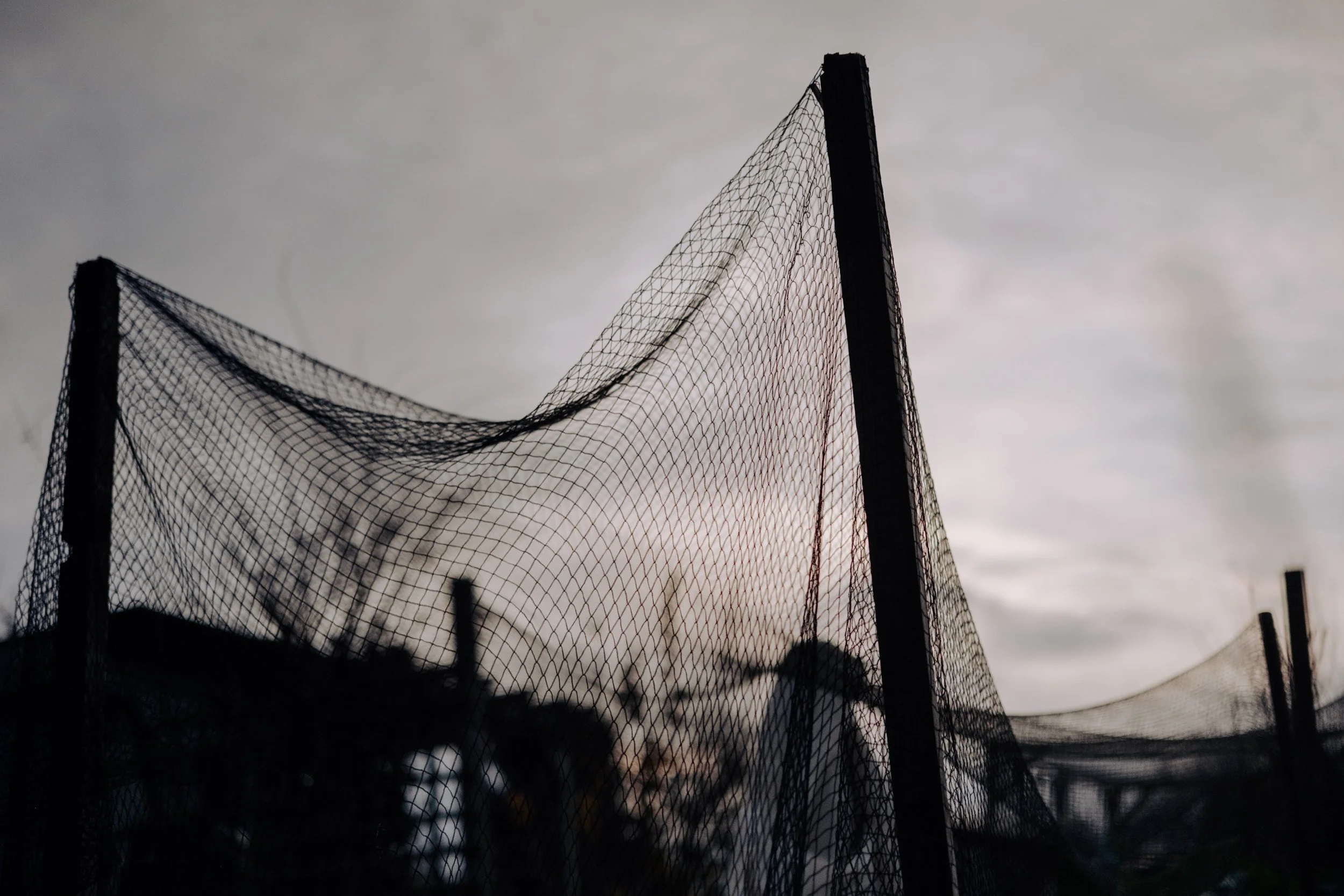 A Year at the Allotment December 2025-147.jpg