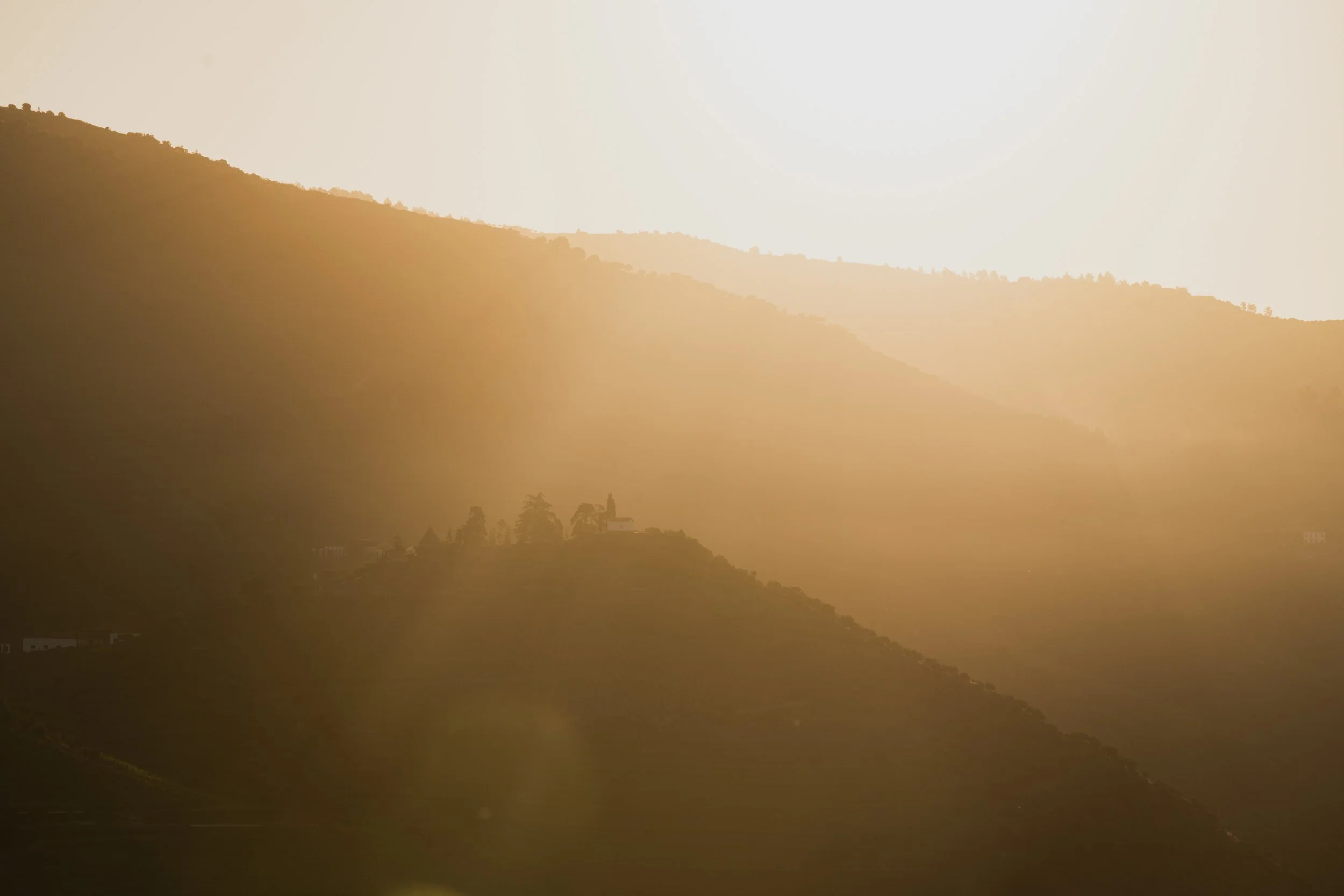 20240528-Purple_Bushmills_Douro-277-2.jpg