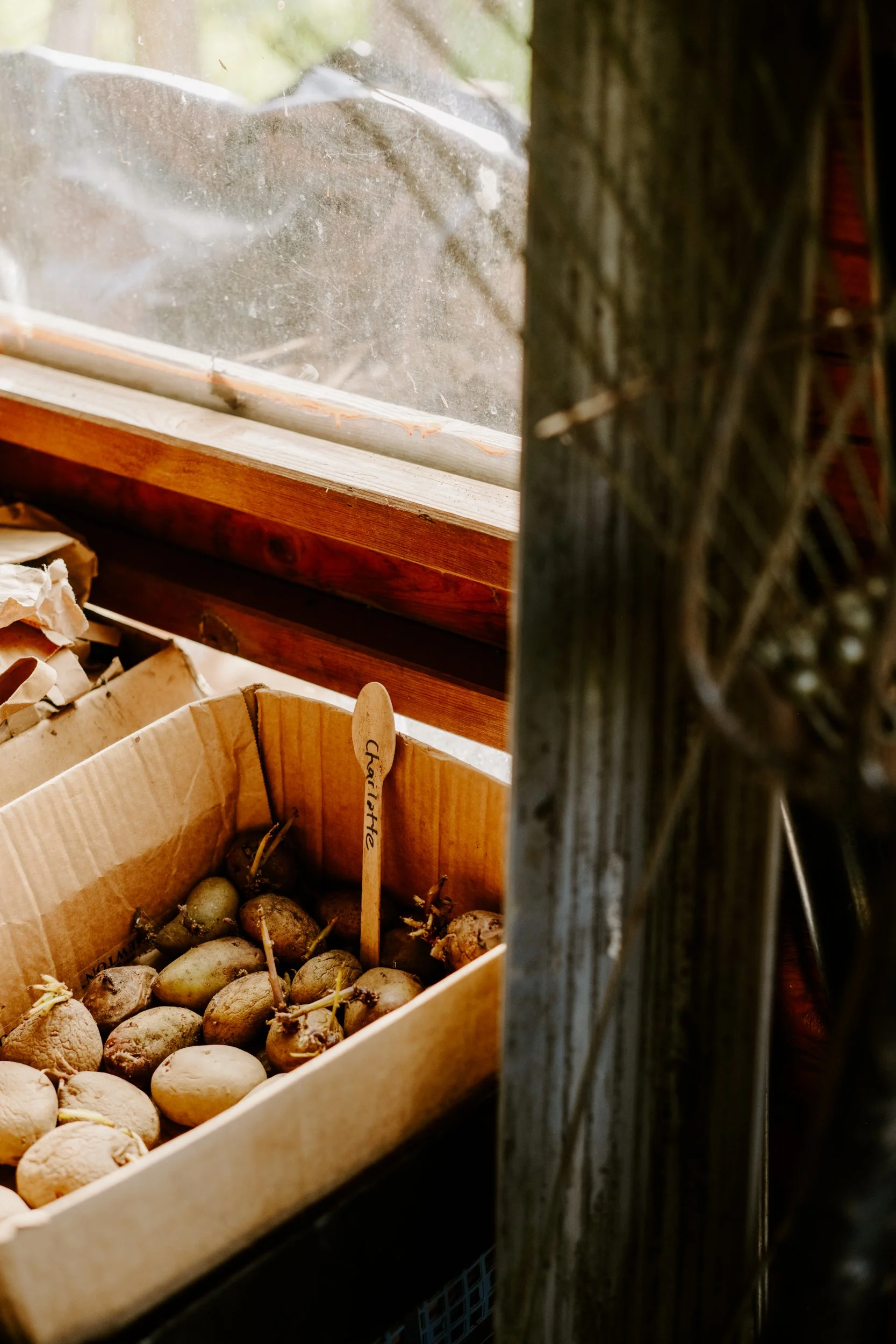 A Year at the Allotment_March-186.jpg