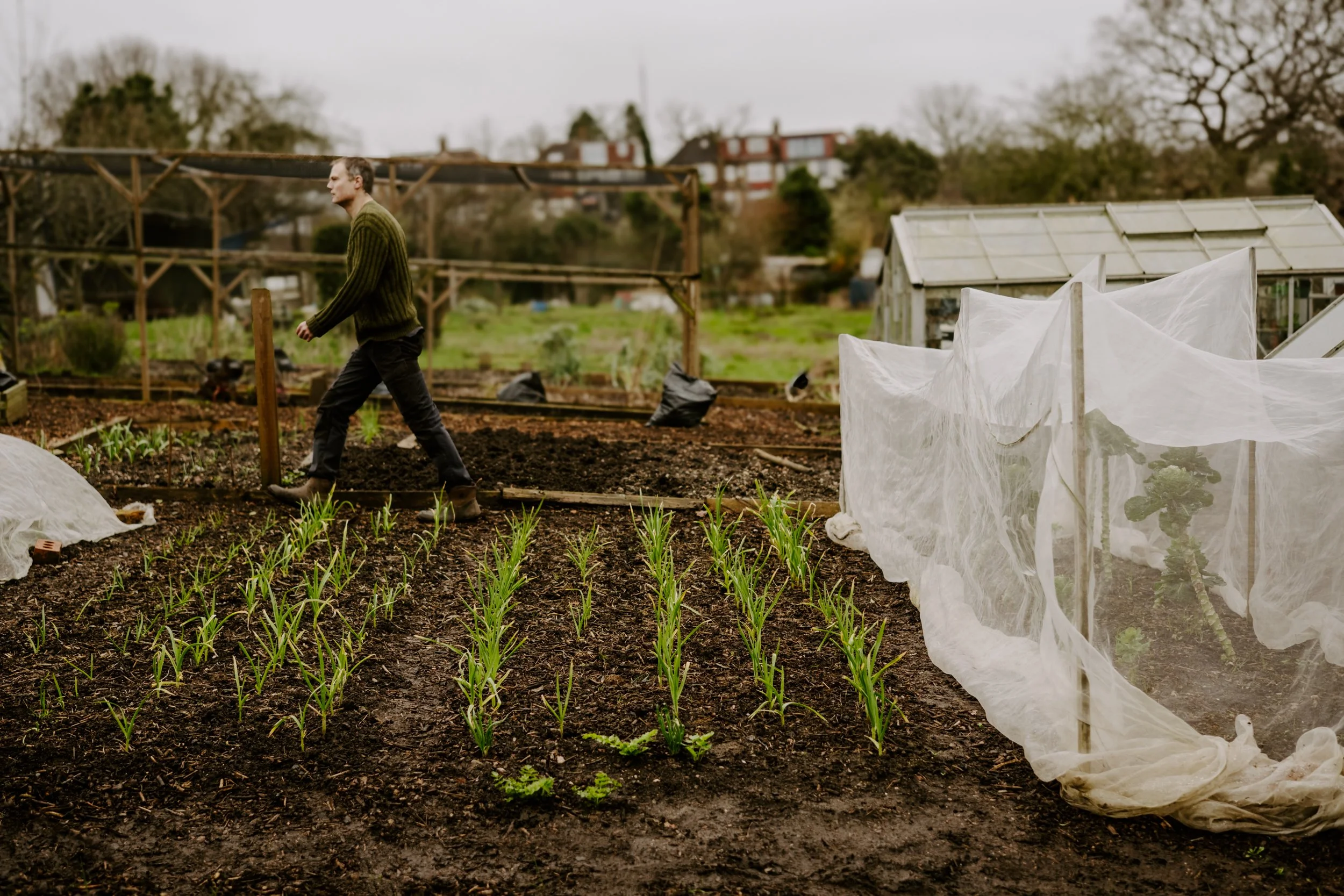 A Year at the allotment_February 2026-141.jpg