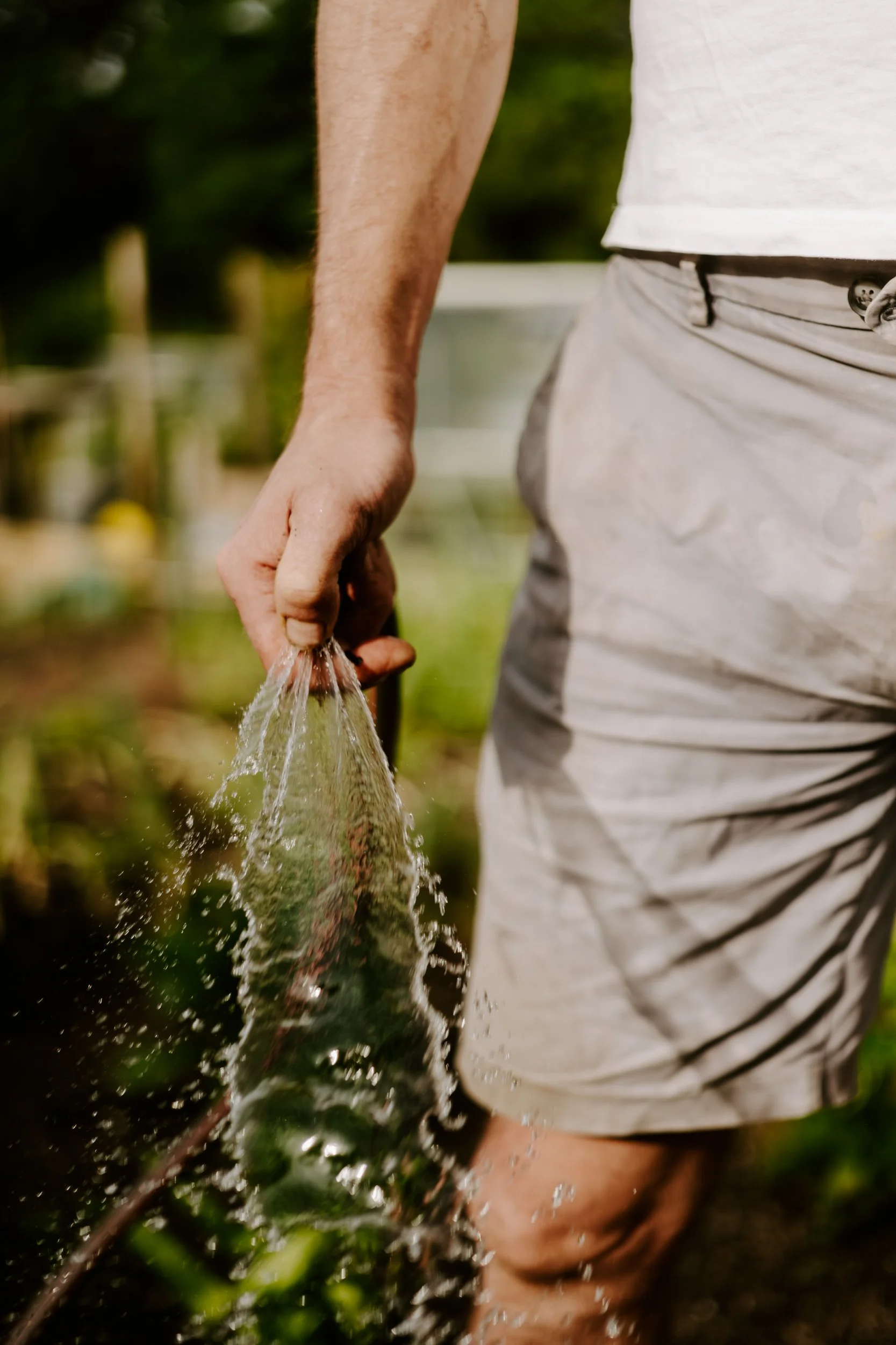 A Year at the Allotment_May 2026-182.jpg