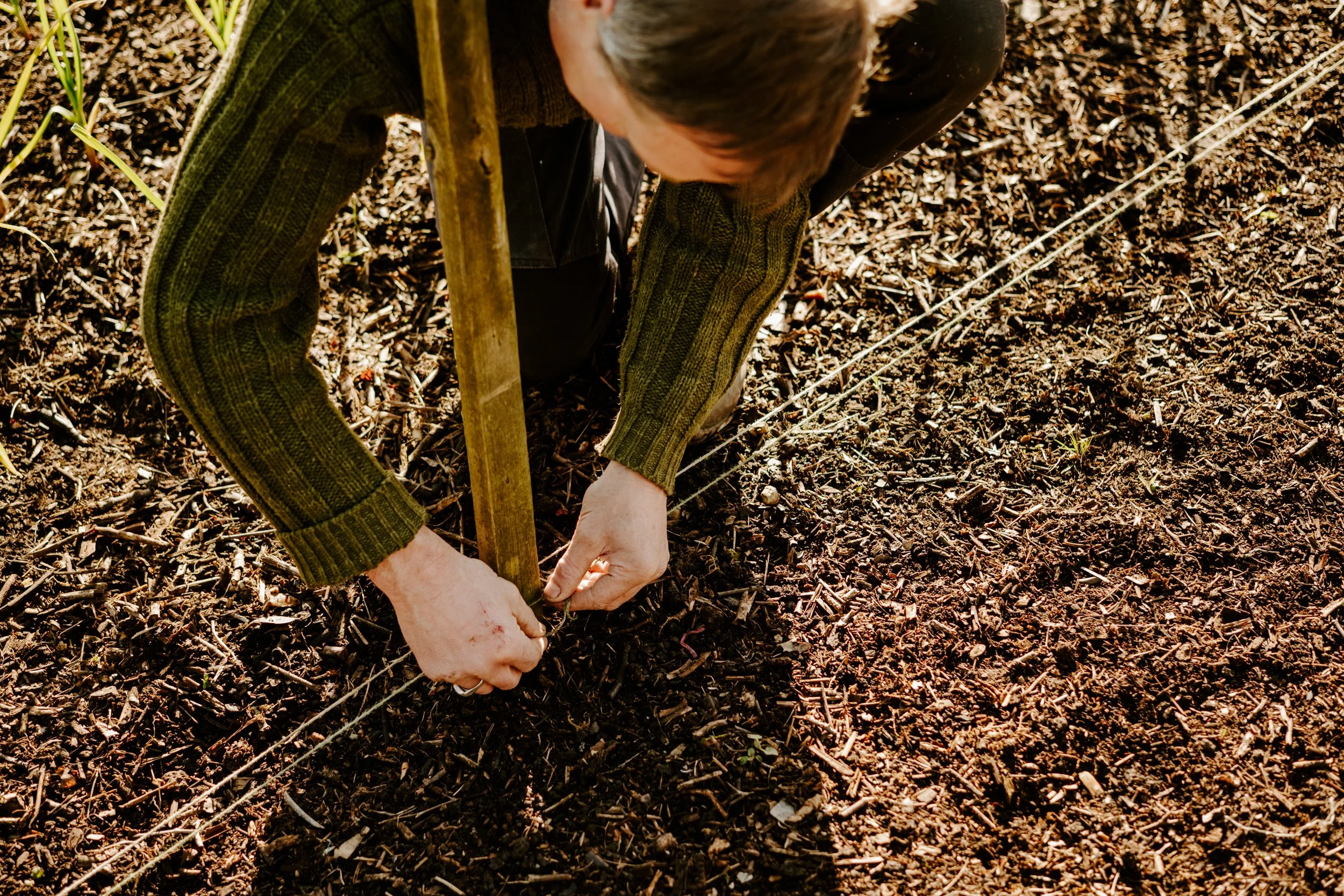 A Year at the Allotment_March-129.jpg