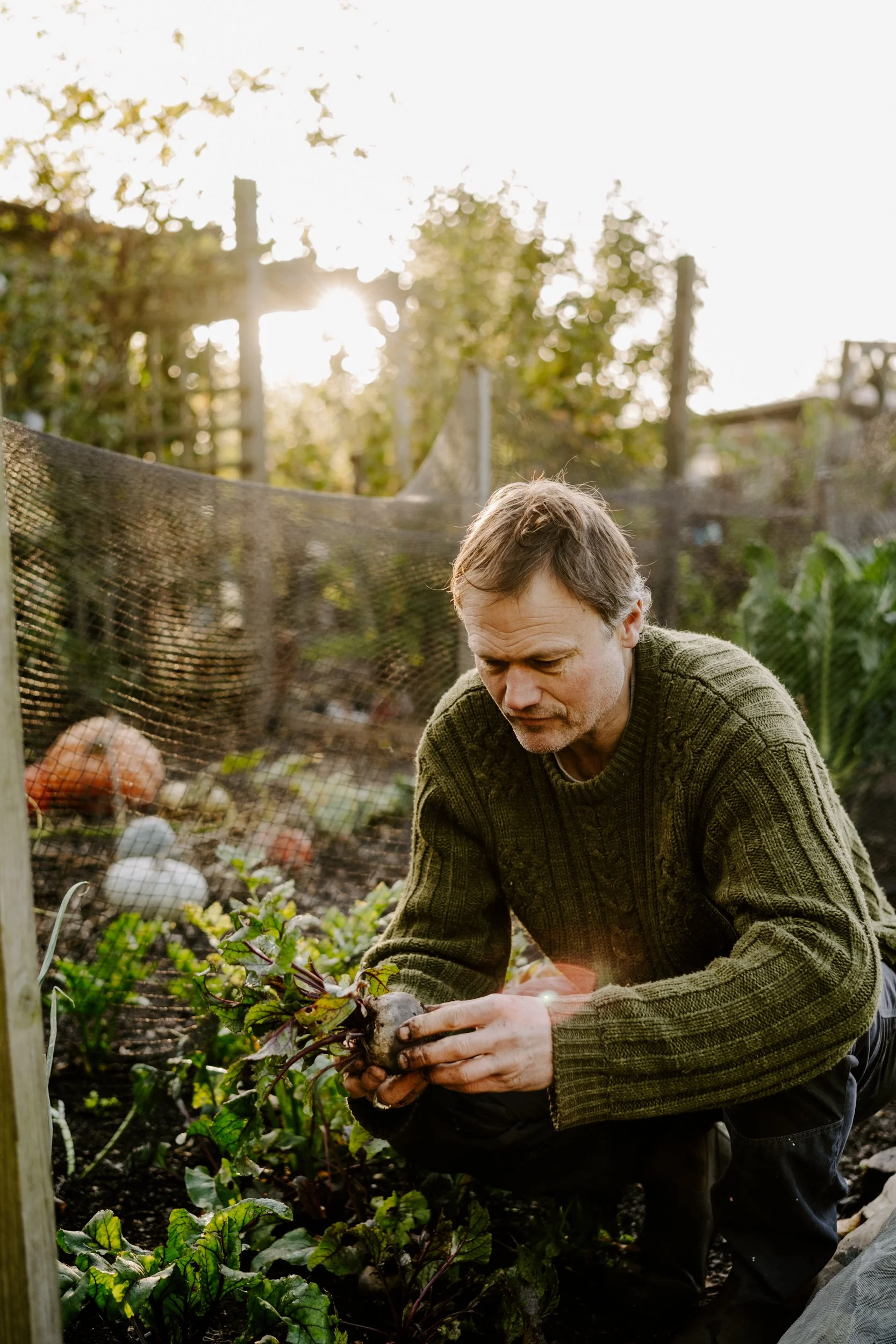 A Year On The Allotment