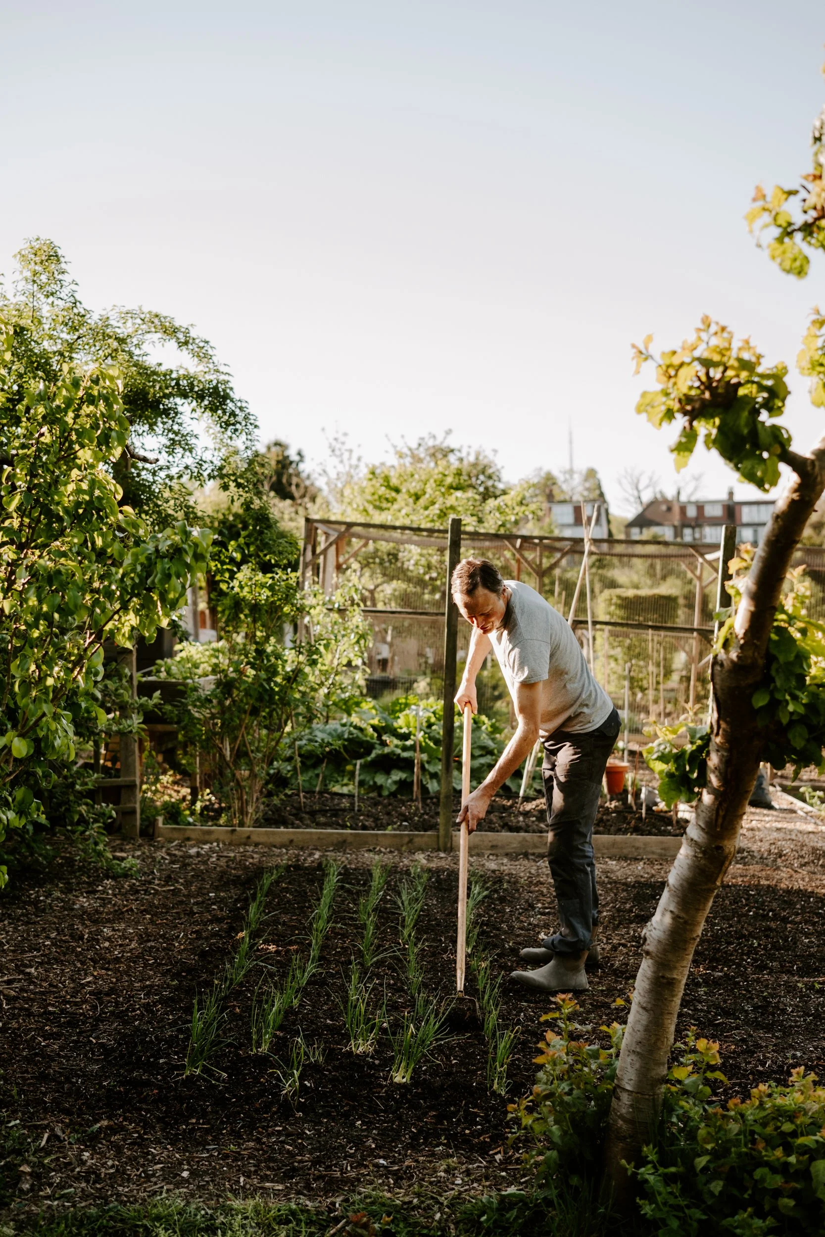 A Year At The Allotment_April-105.jpg