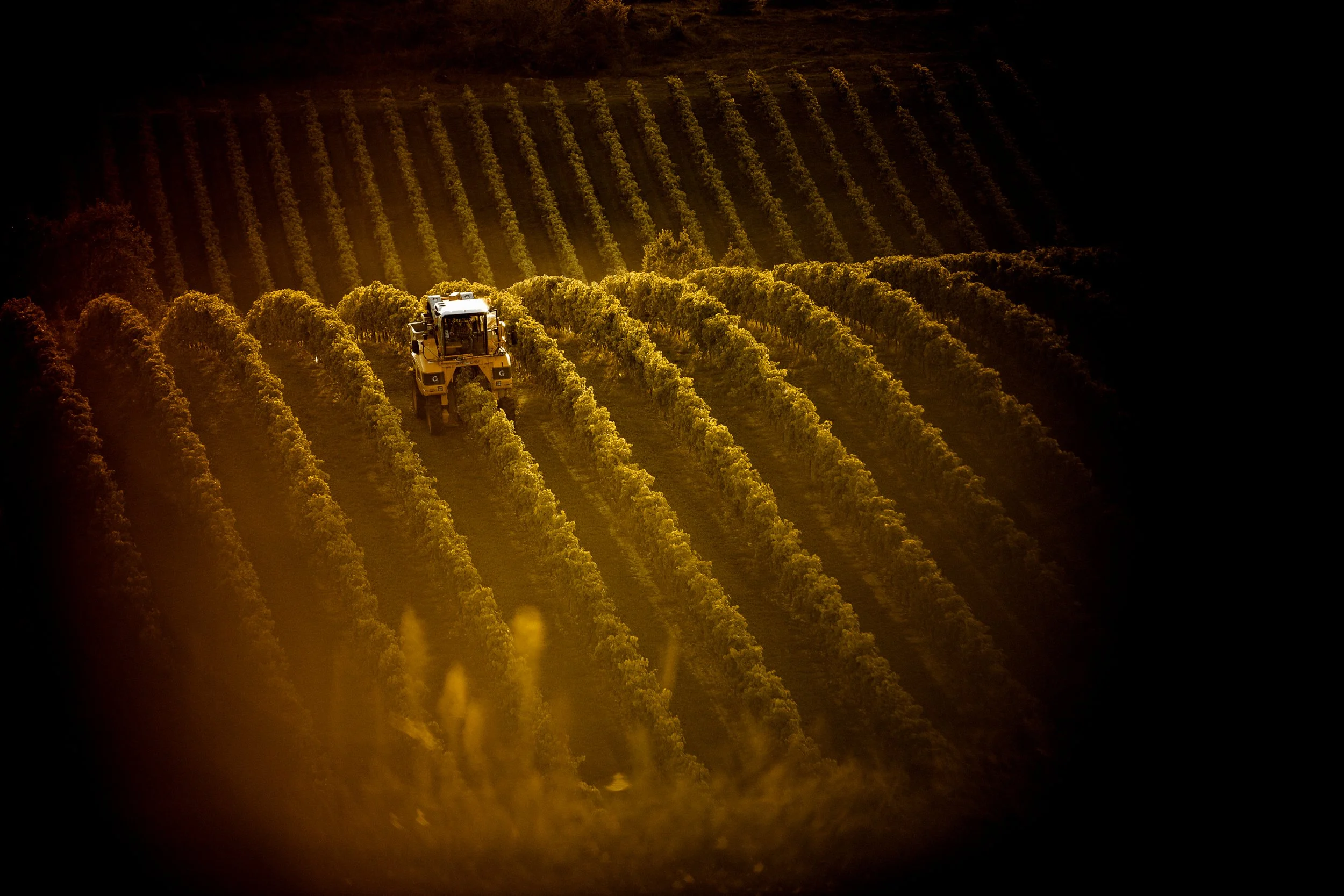 Thomas Skovsende Website-The Craft Of Cognac-115-2.jpg