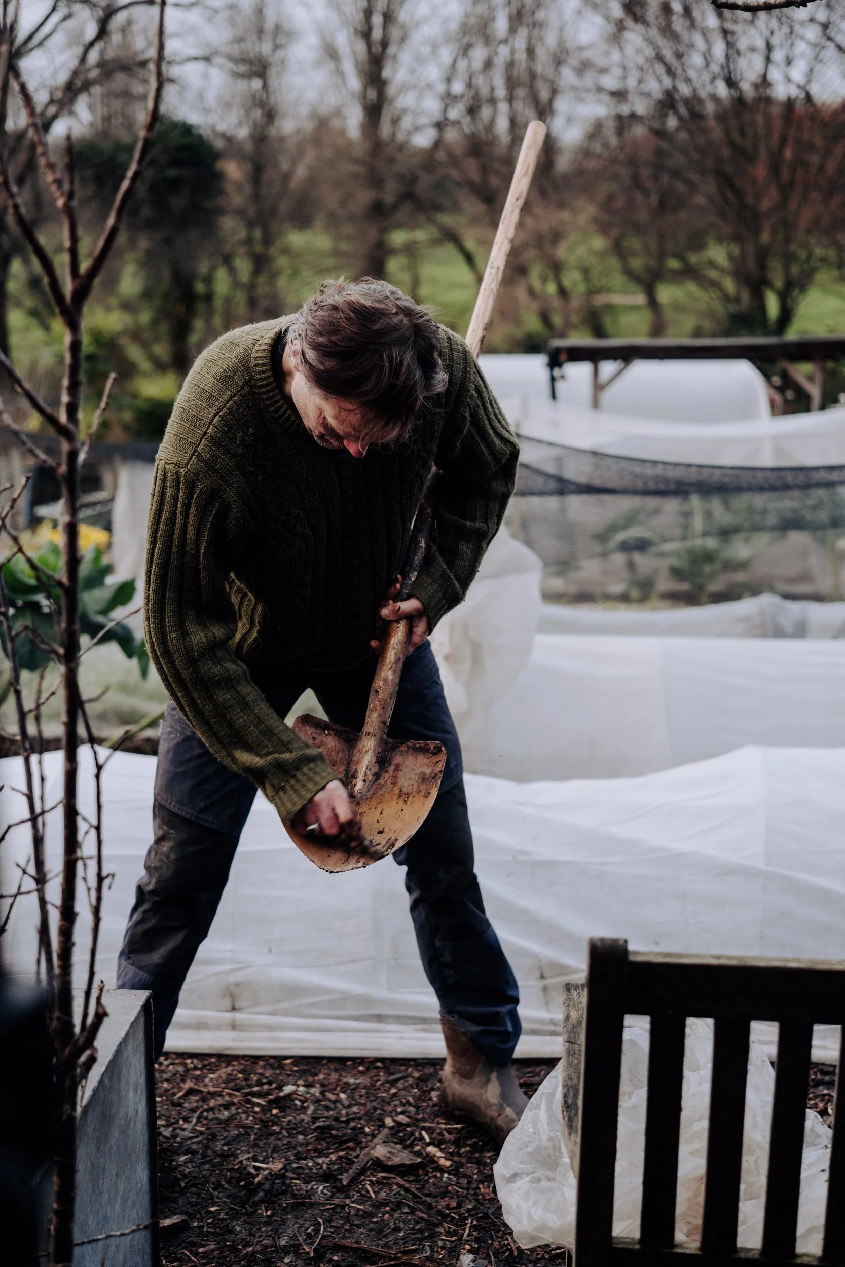 A Year at the Allotment December 2025-143.jpg