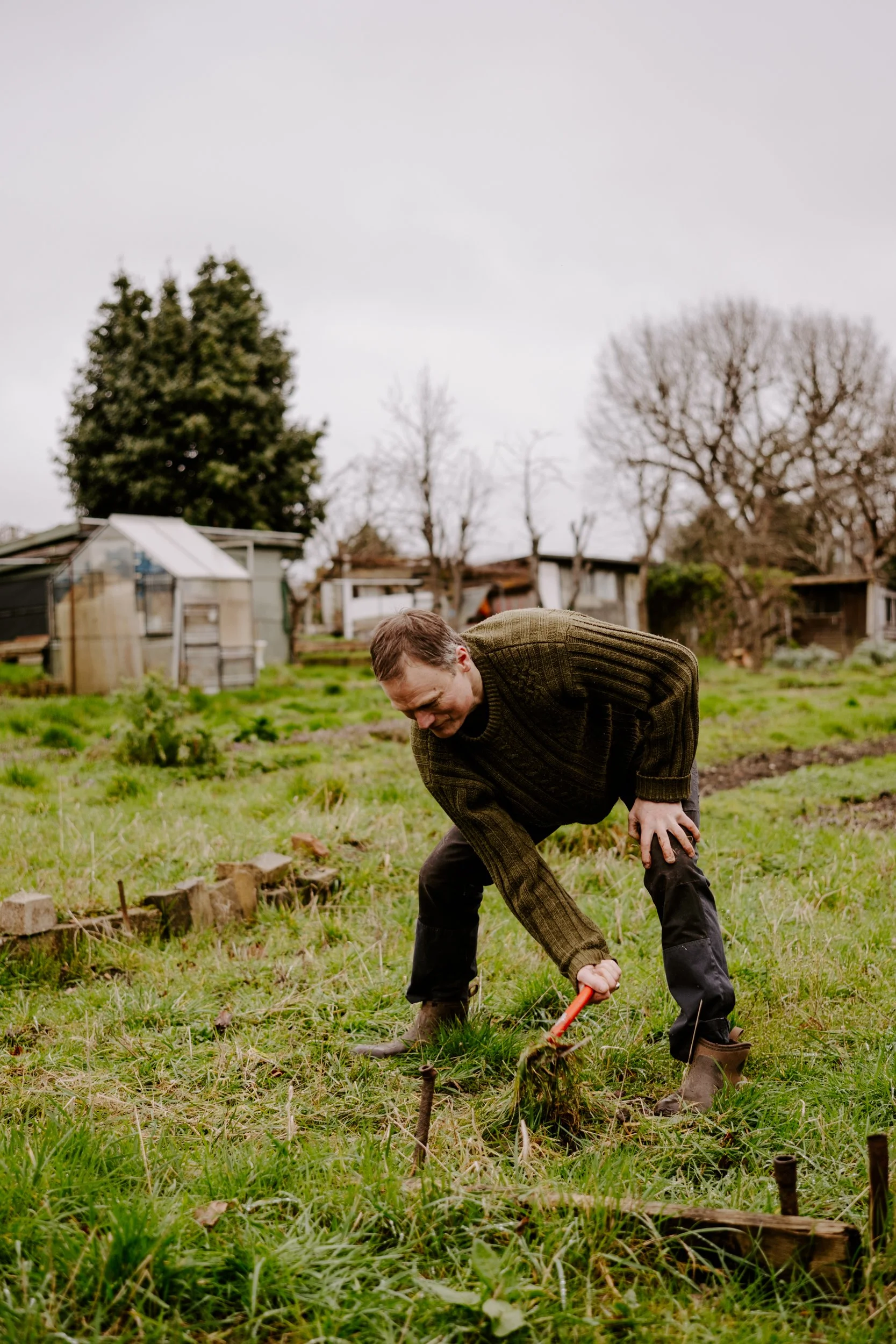 A Year at the allotment_February 2026-148.jpg