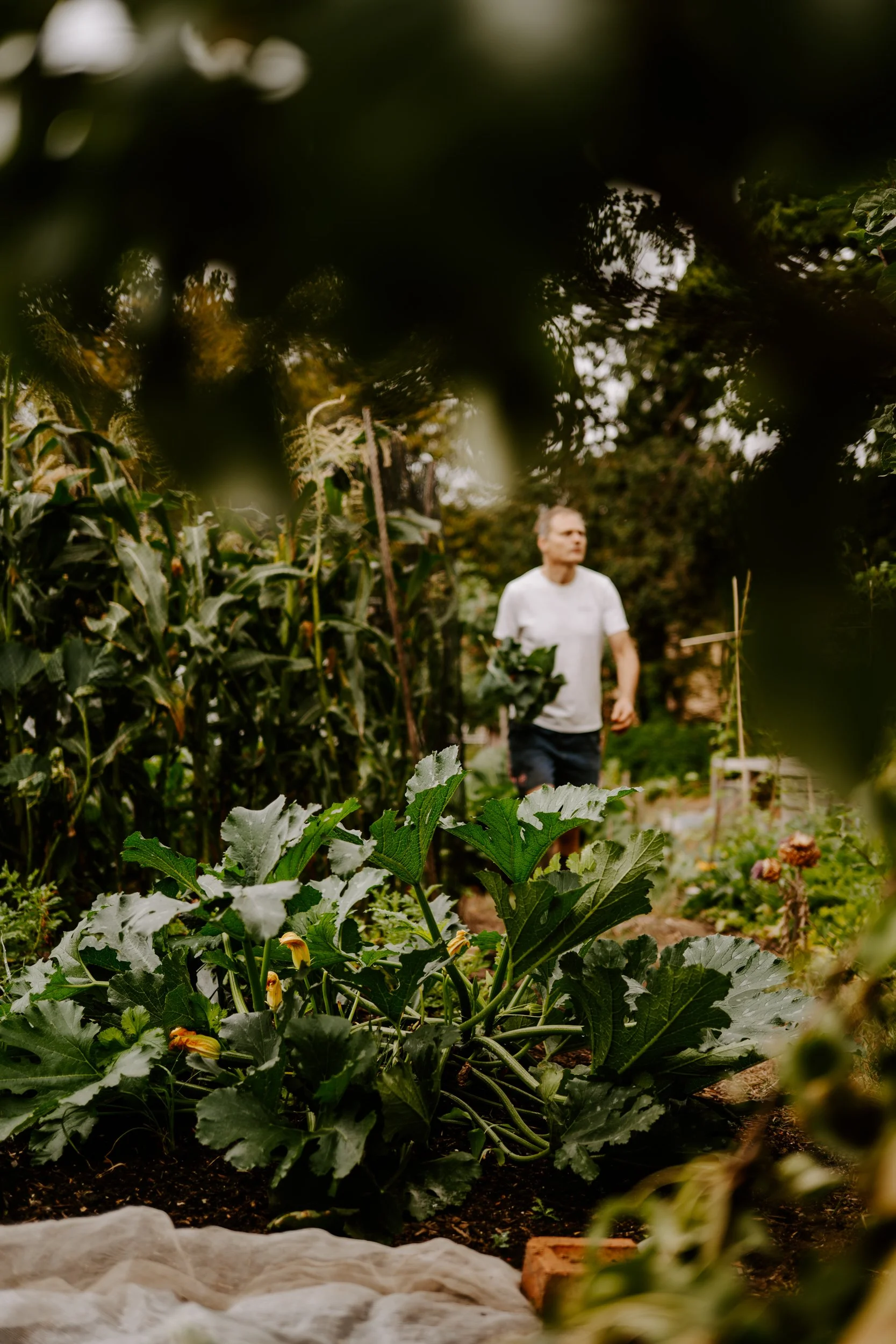 A Year at the allotment_August 2026-246.jpg