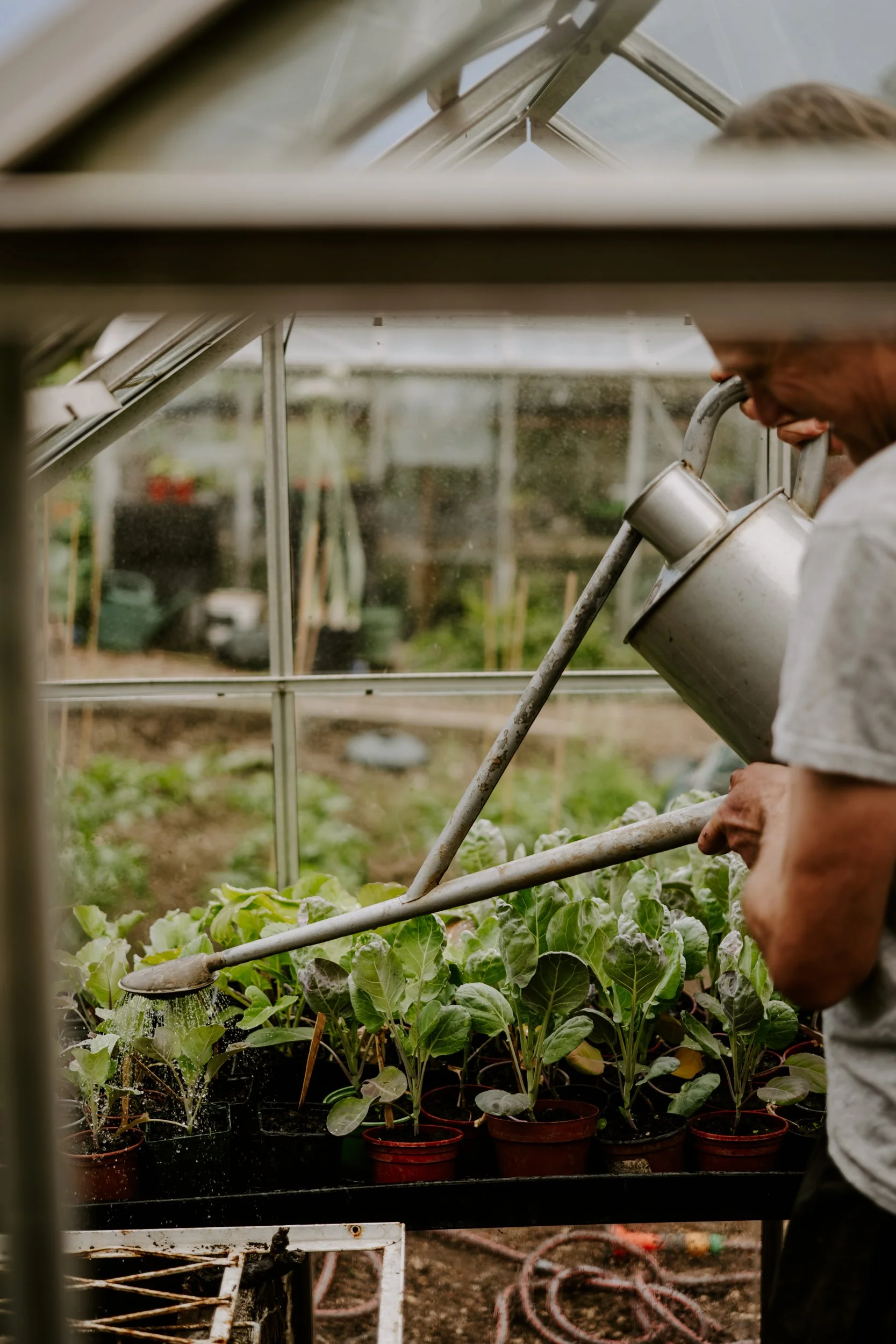A Year At The Allotment_June-133.jpg