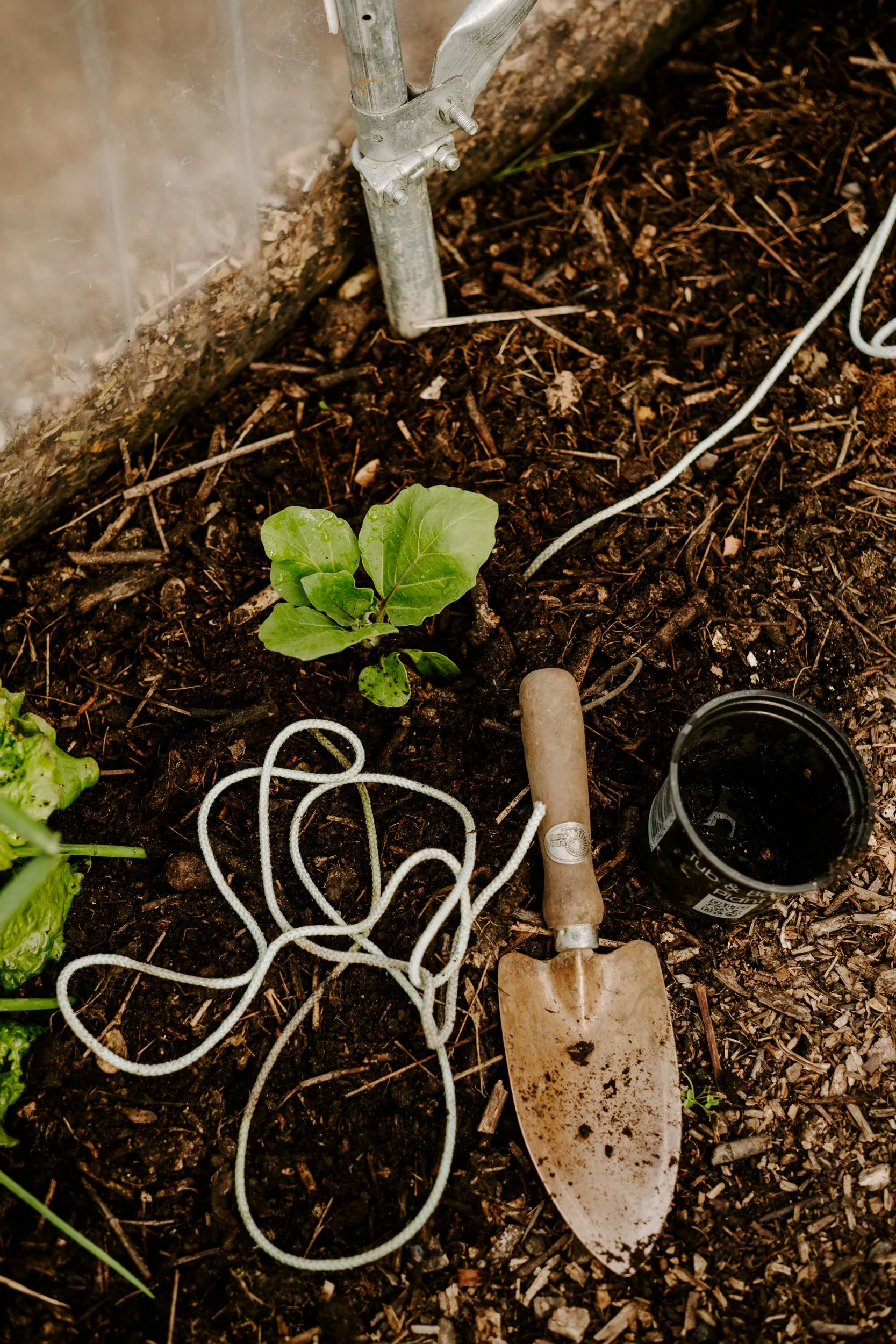 A Year at the Allotment_May 2026-111.jpg