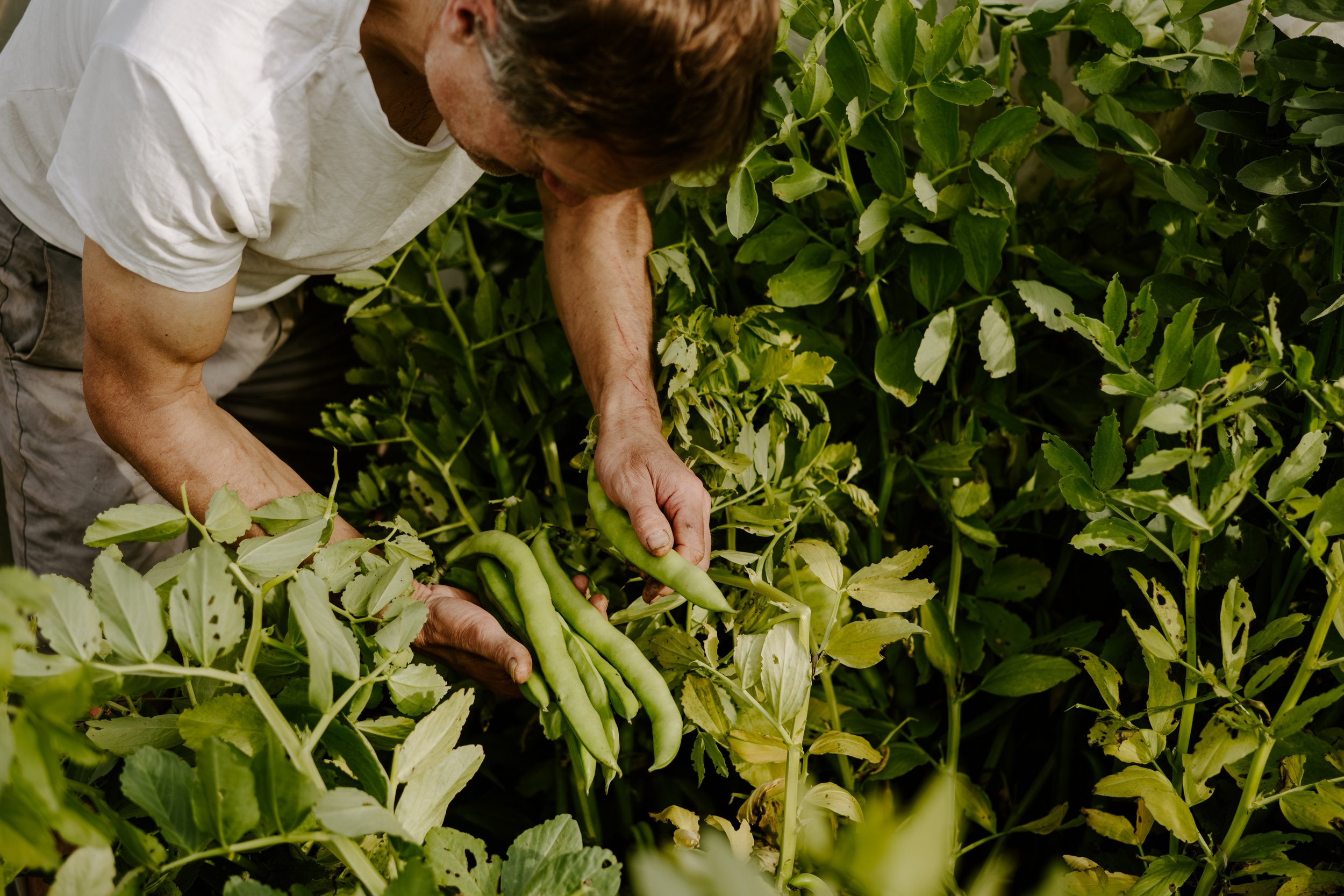 A Year at the Allotment_May 2026-123.jpg