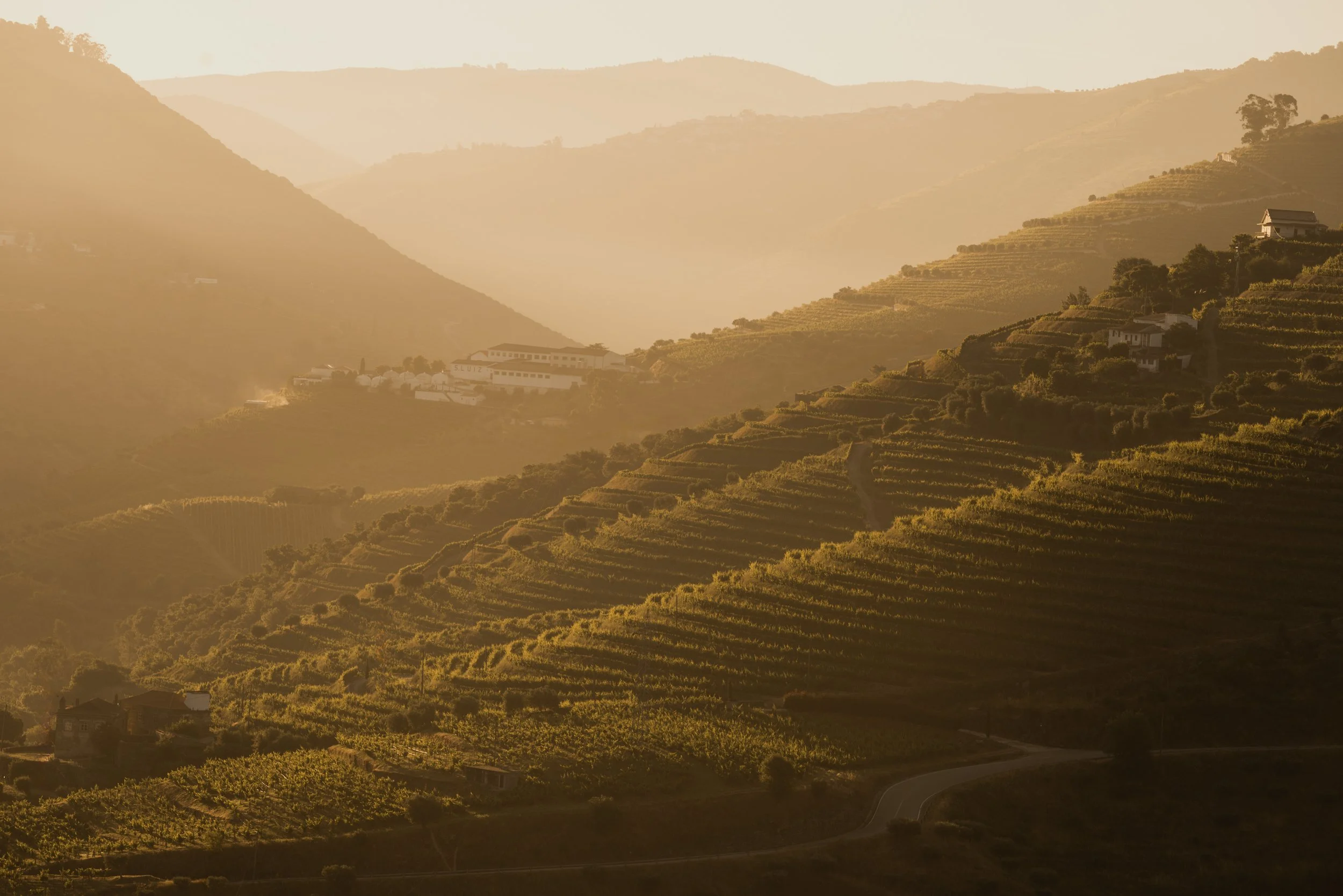20240528-Purple_Bushmills_Douro-279-Edit.jpg
