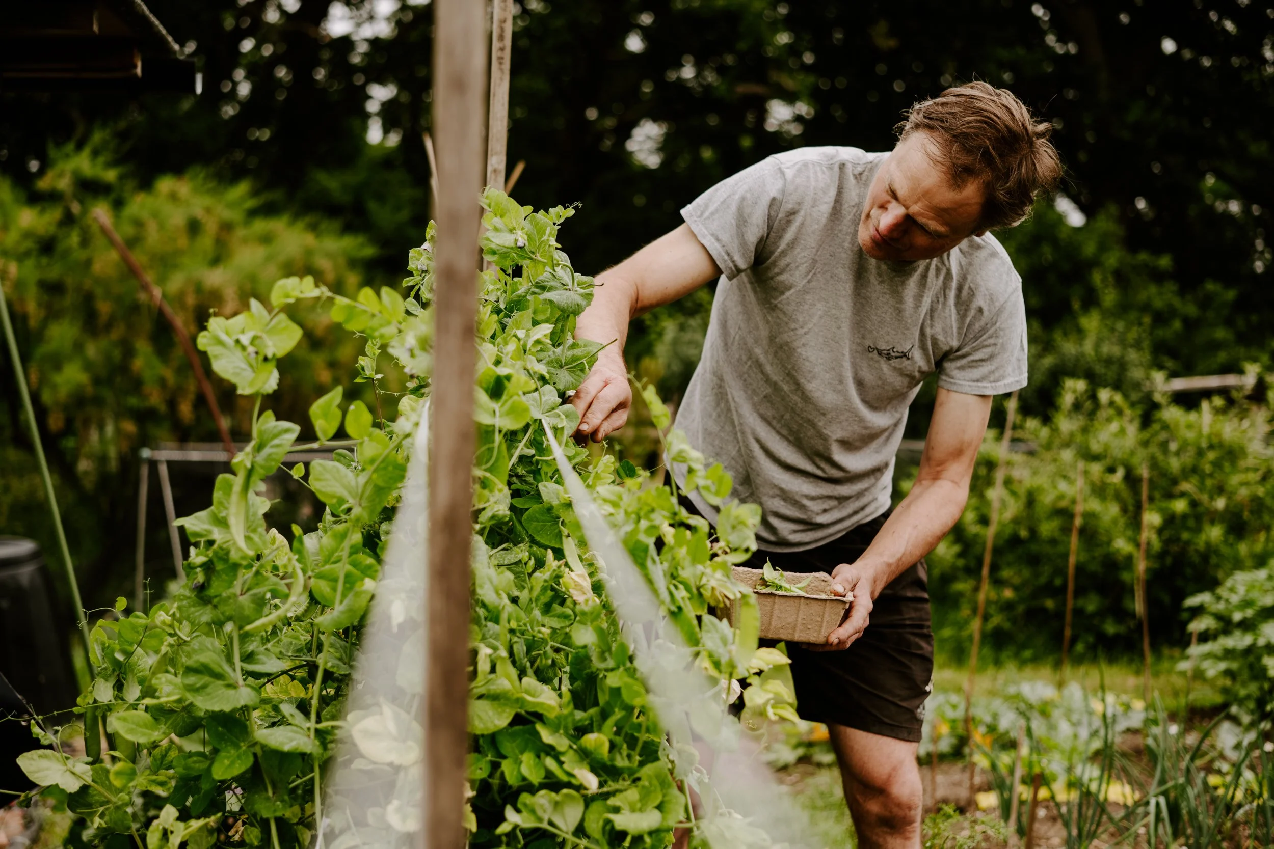 A Year At The Allotment_June-152.jpg