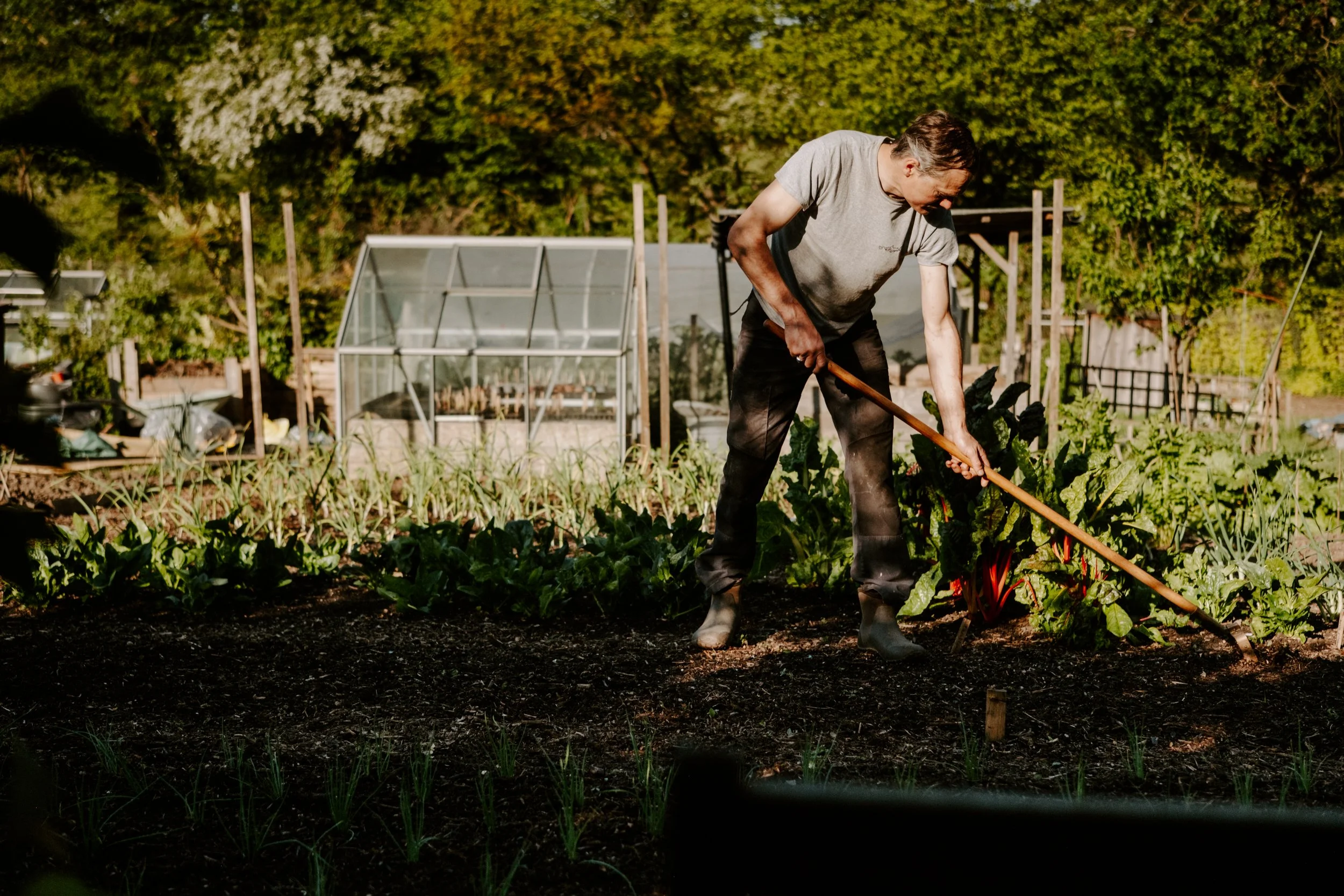 A Year At The Allotment_April-111.jpg