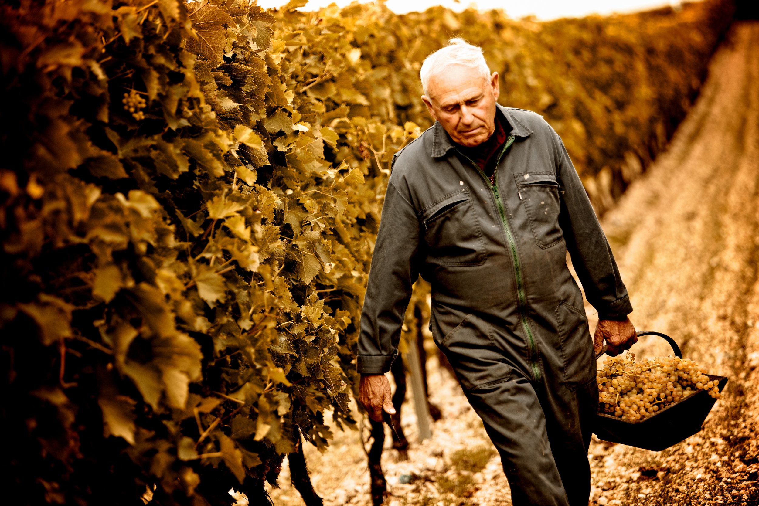 Thomas Skovsende Website-The Craft Of Cognac-122-2.jpg
