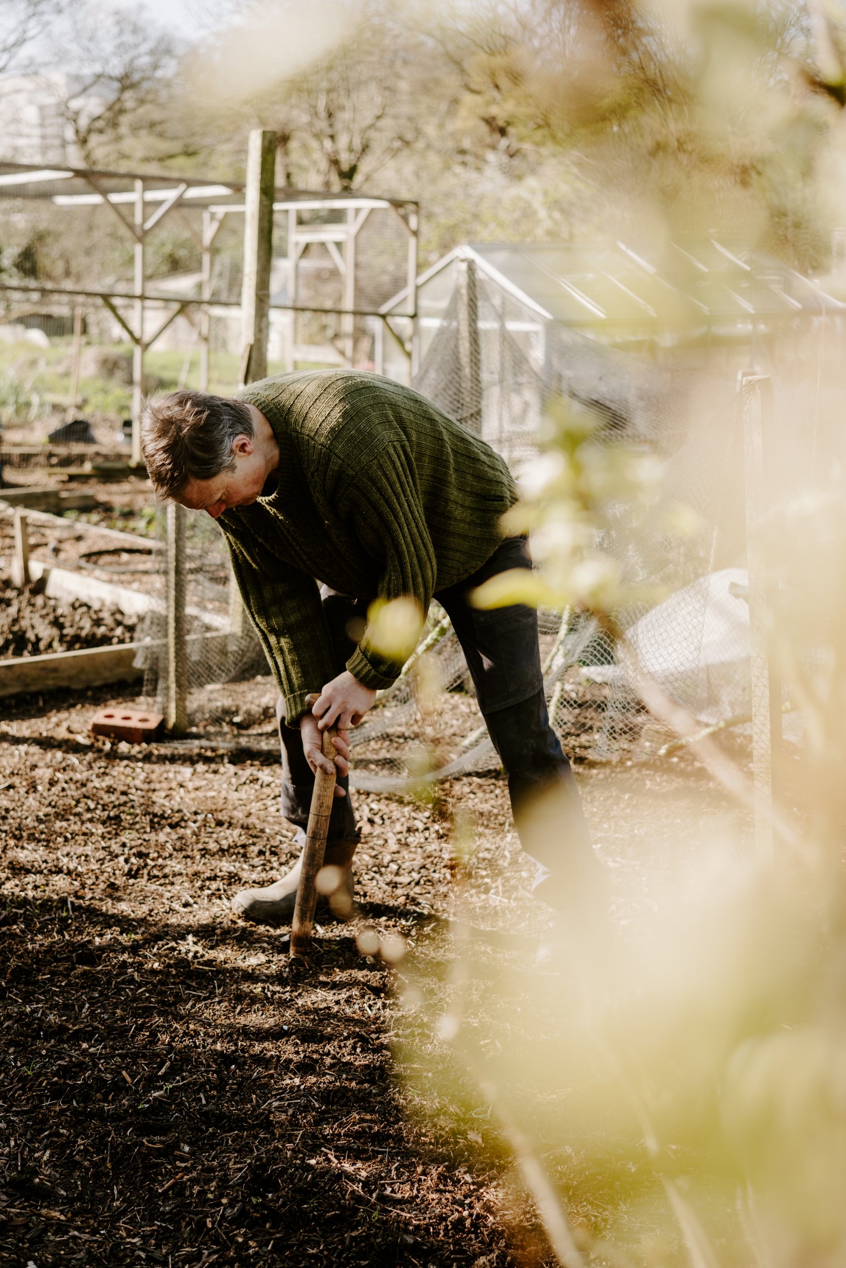 A Year at the Allotment_March-161.jpg