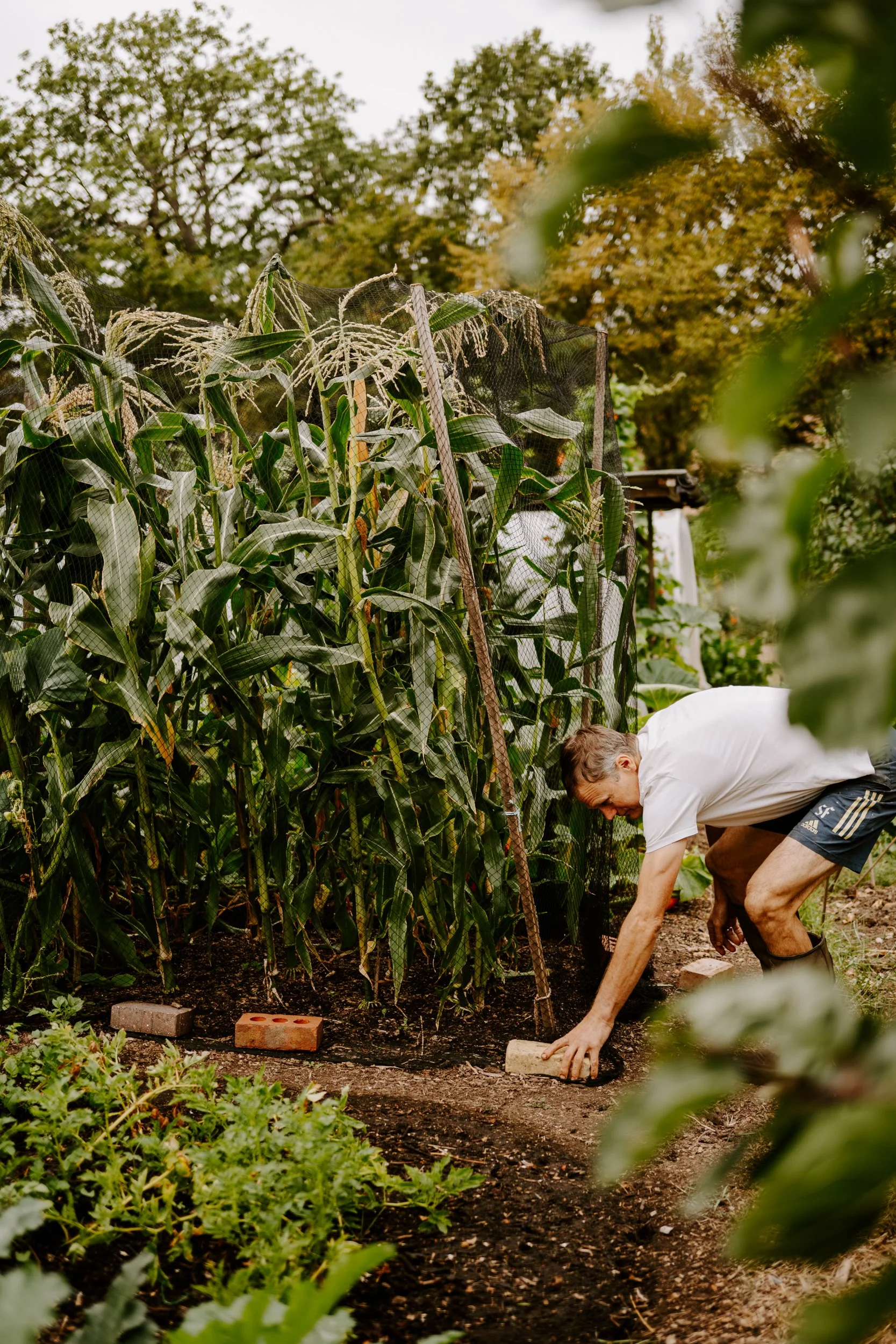 A Year at the allotment_August 2026-218.jpg